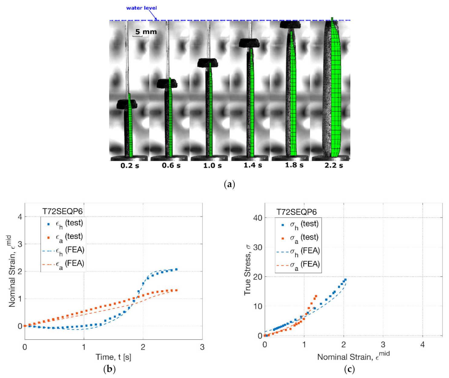 Polymers 13 00967 g012