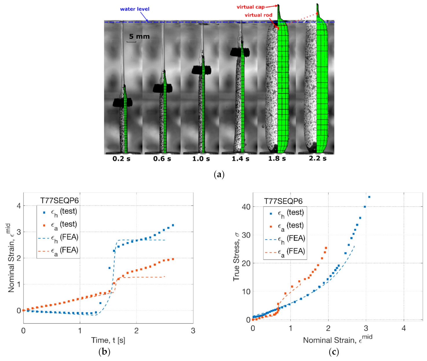 Polymers 13 00967 g013