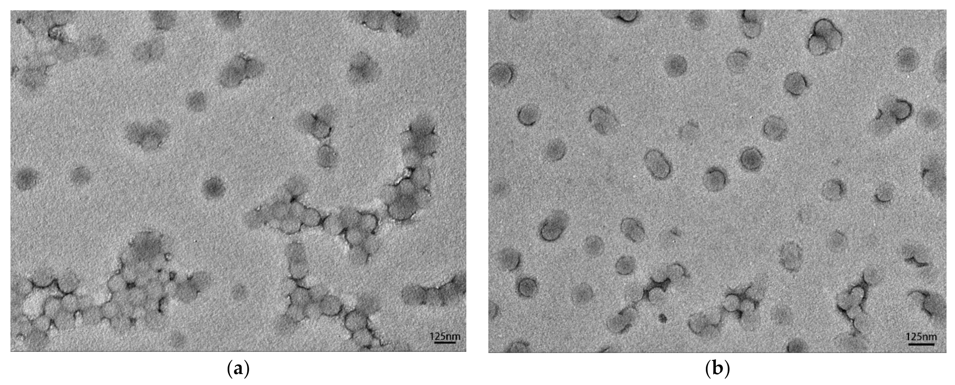Polymers 13 00968 g003 Polymers 13 00968 g003