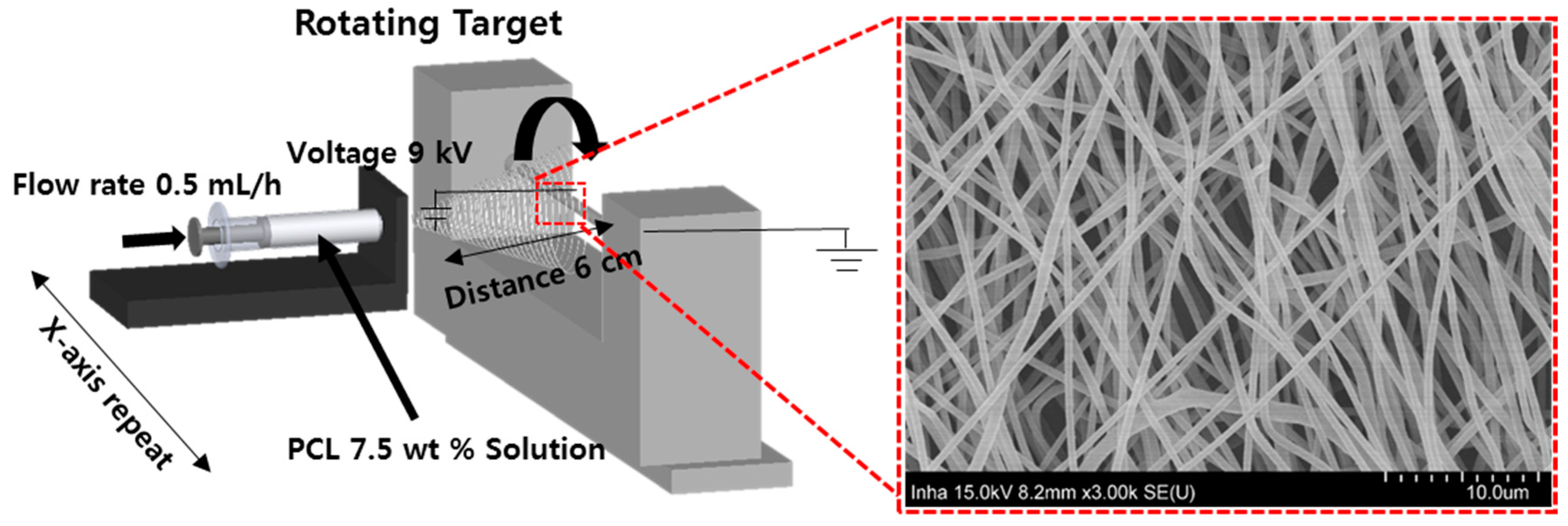 Polymers 13 00971 g002