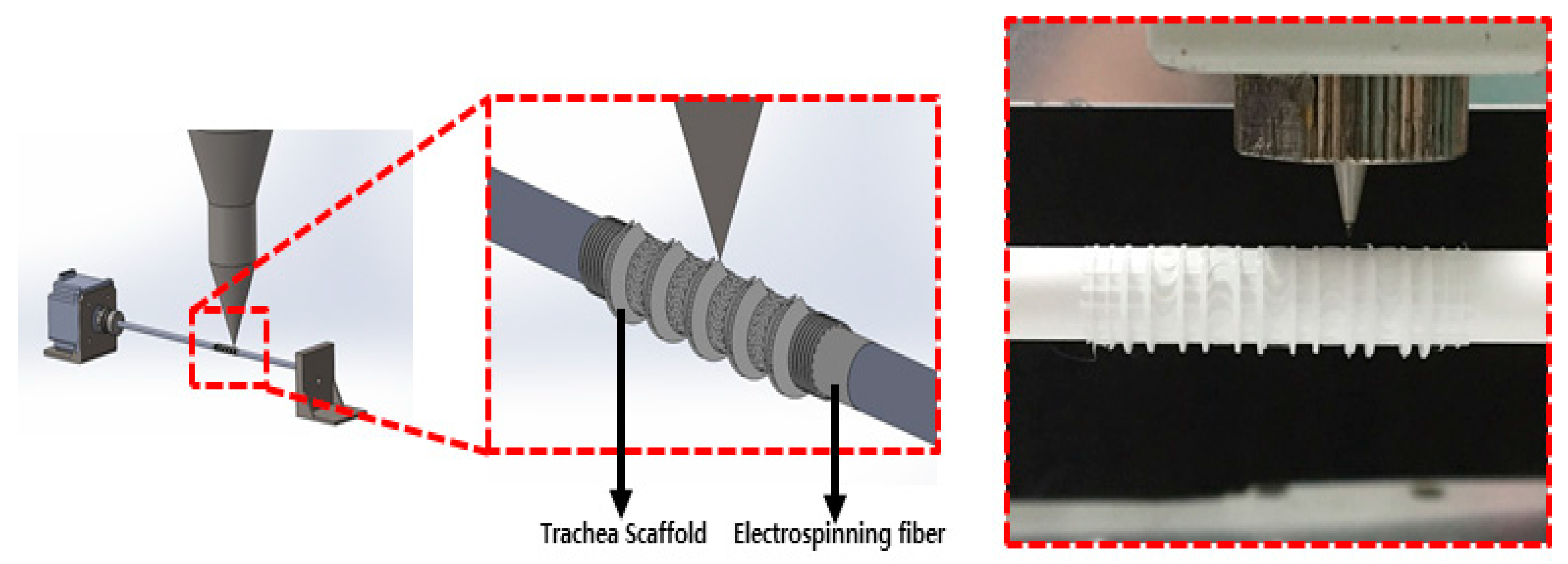 Polymers 13 00971 g004