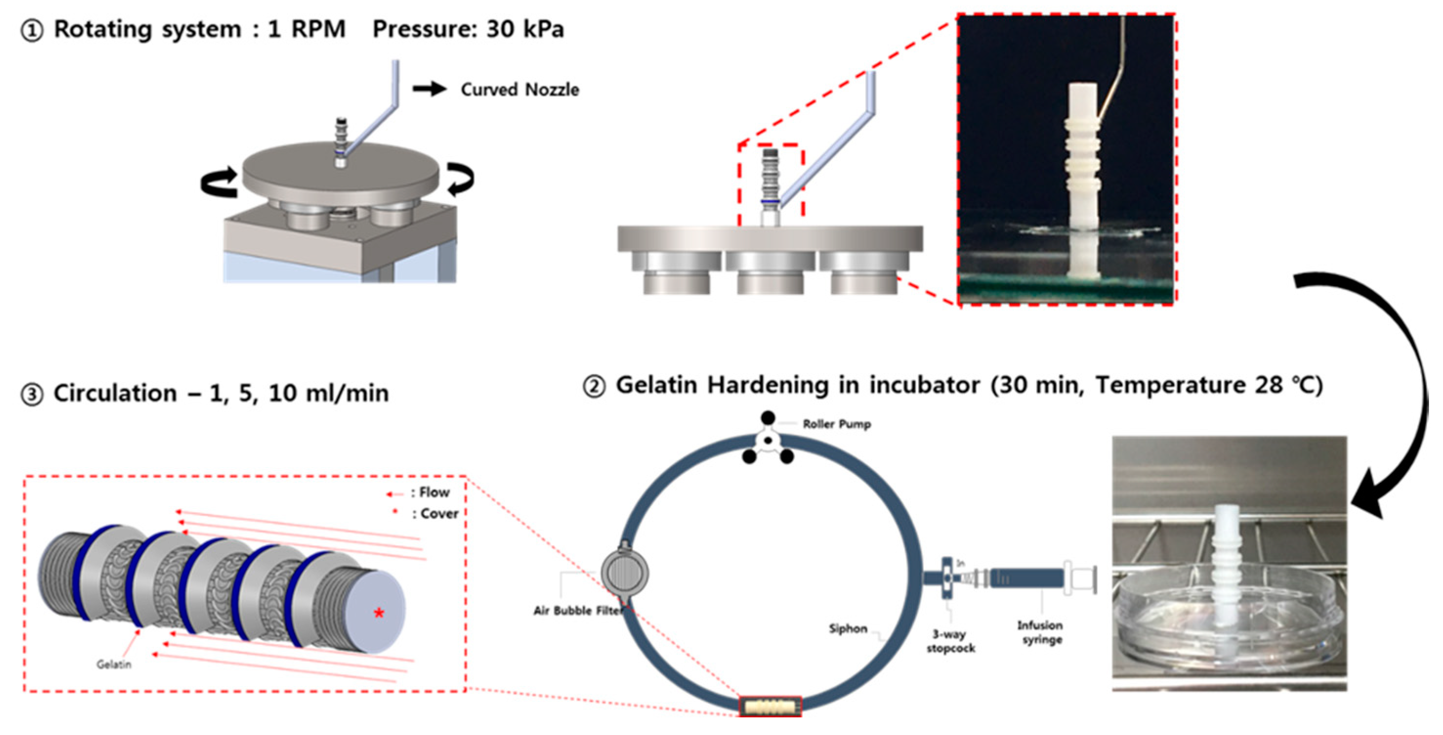 Polymers 13 00971 g005