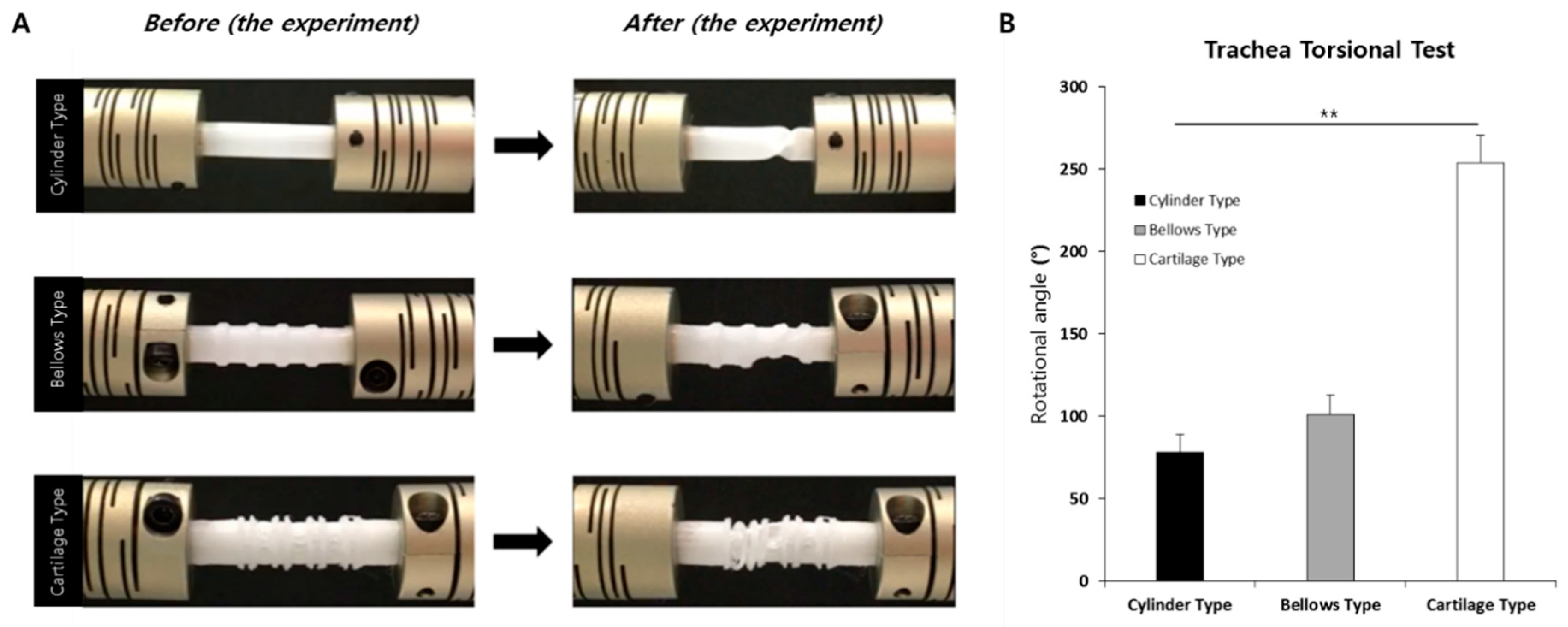 Polymers 13 00971 g009