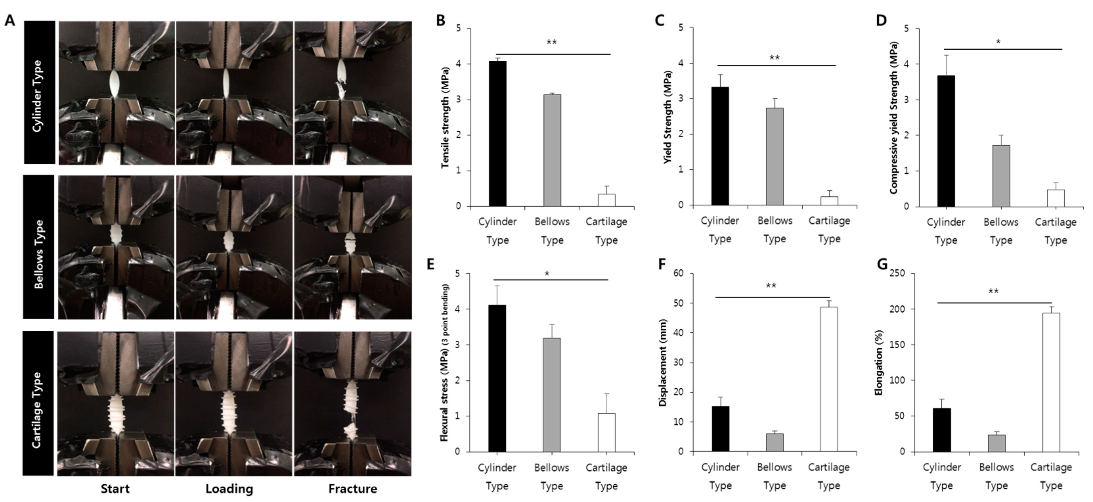 Polymers 13 00971 g010