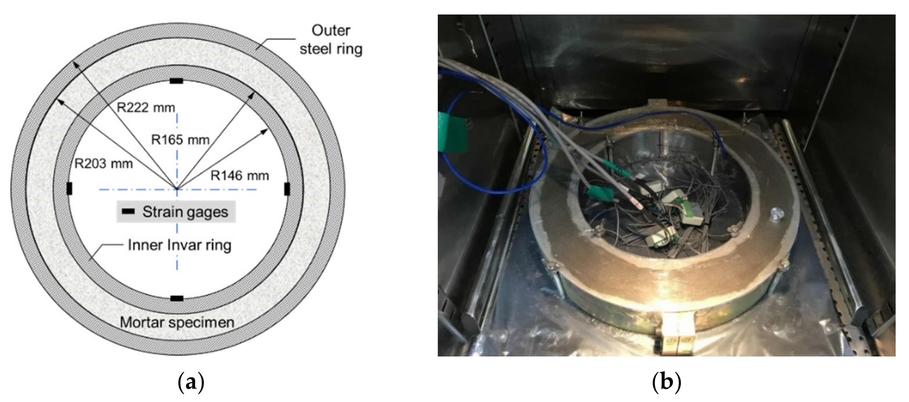 Polymers 13 00979 g006