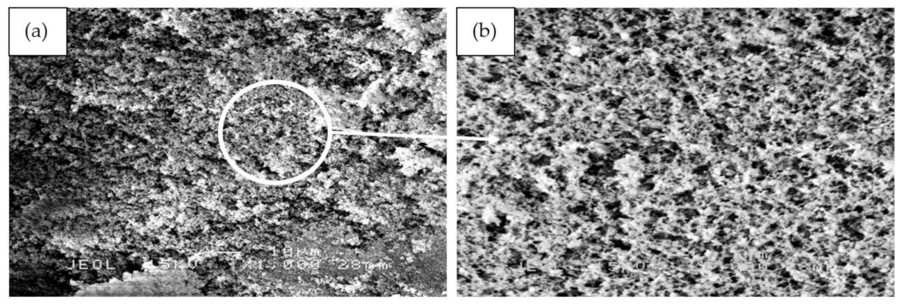Polymers 13 00985 g012a
