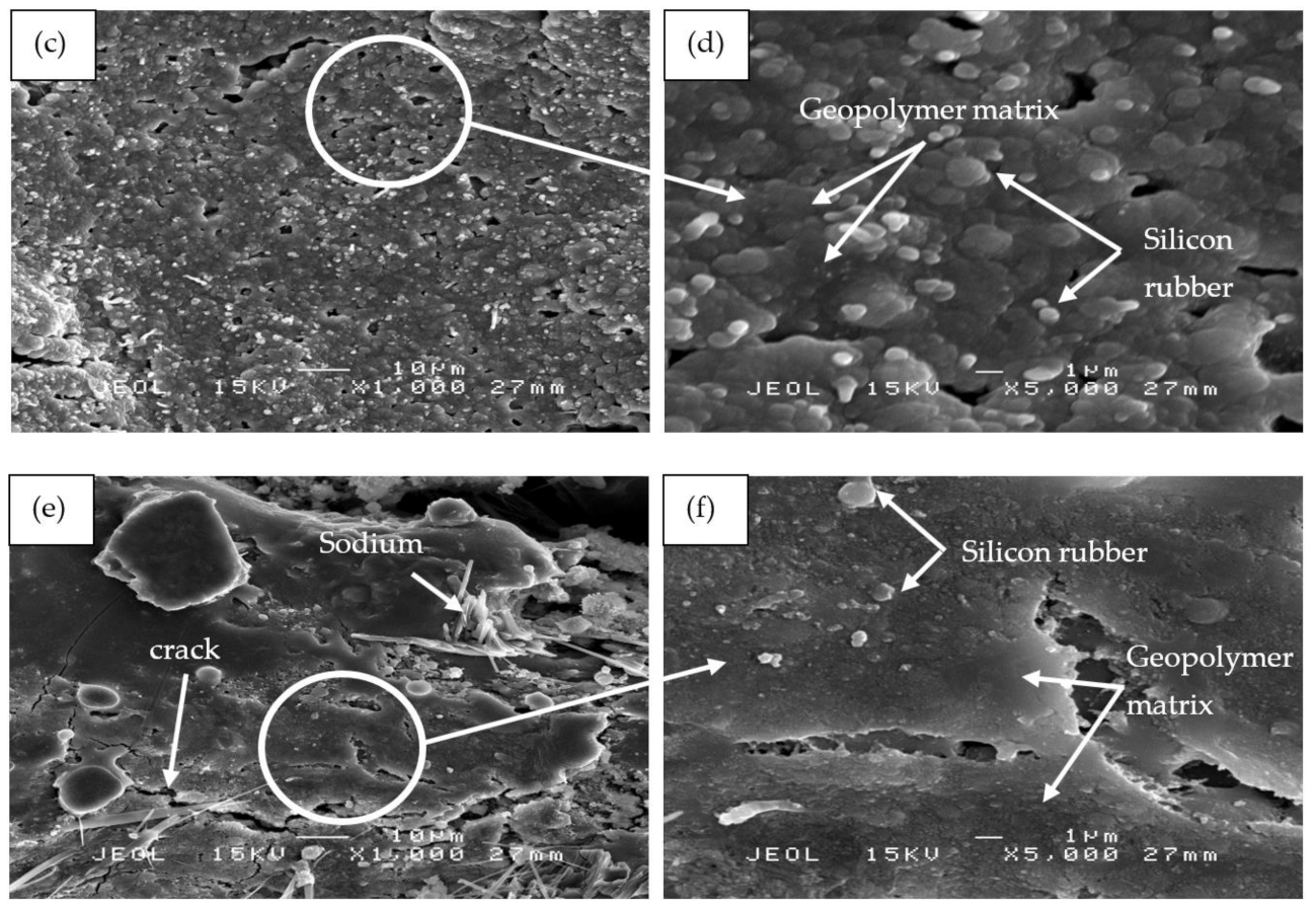 Polymers 13 00985 g012b
