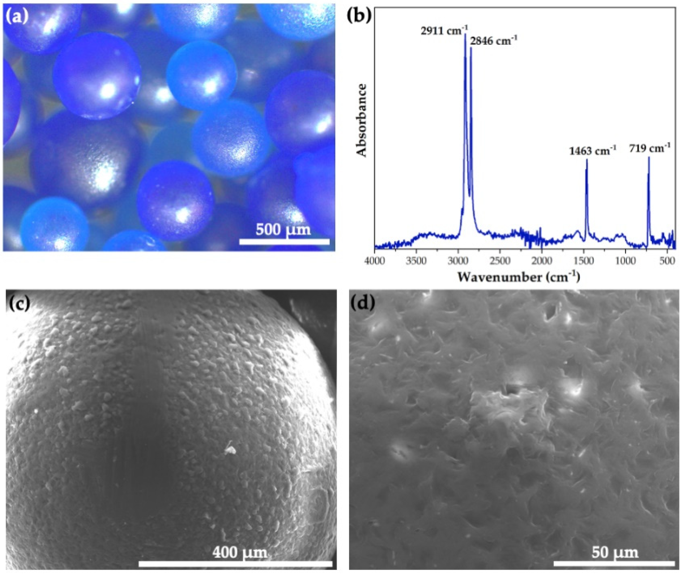 Polymers 13 00999 g001
