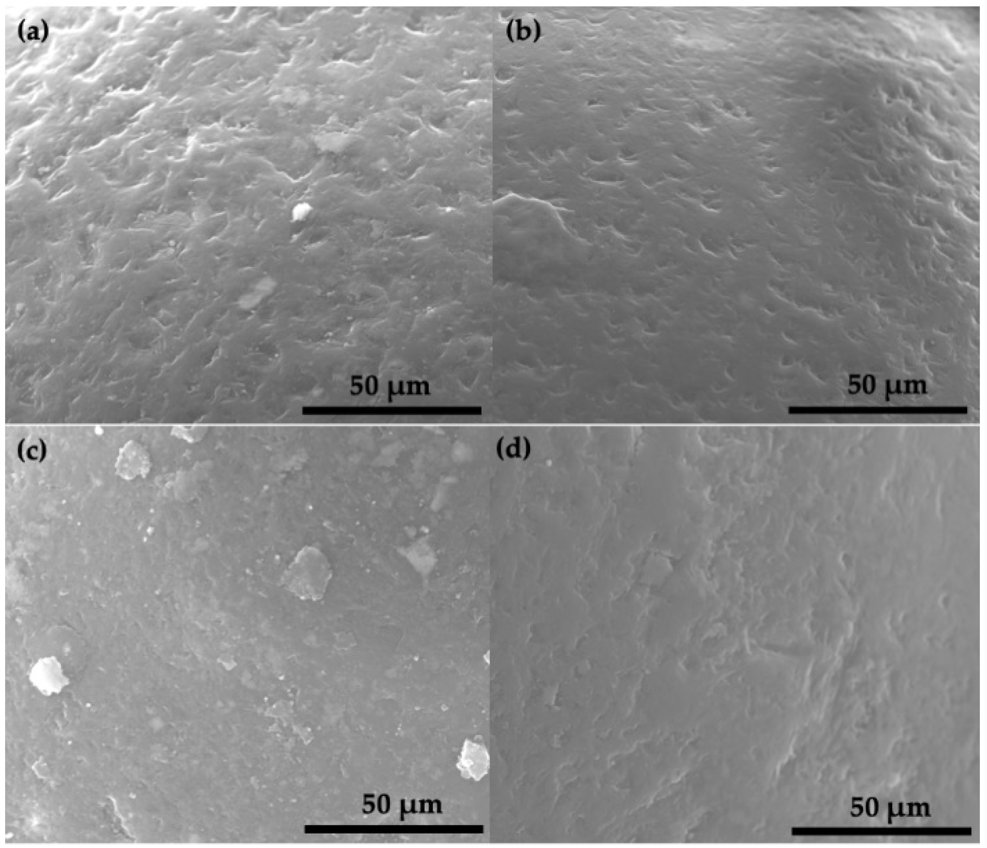 Polymers 13 00999 g009