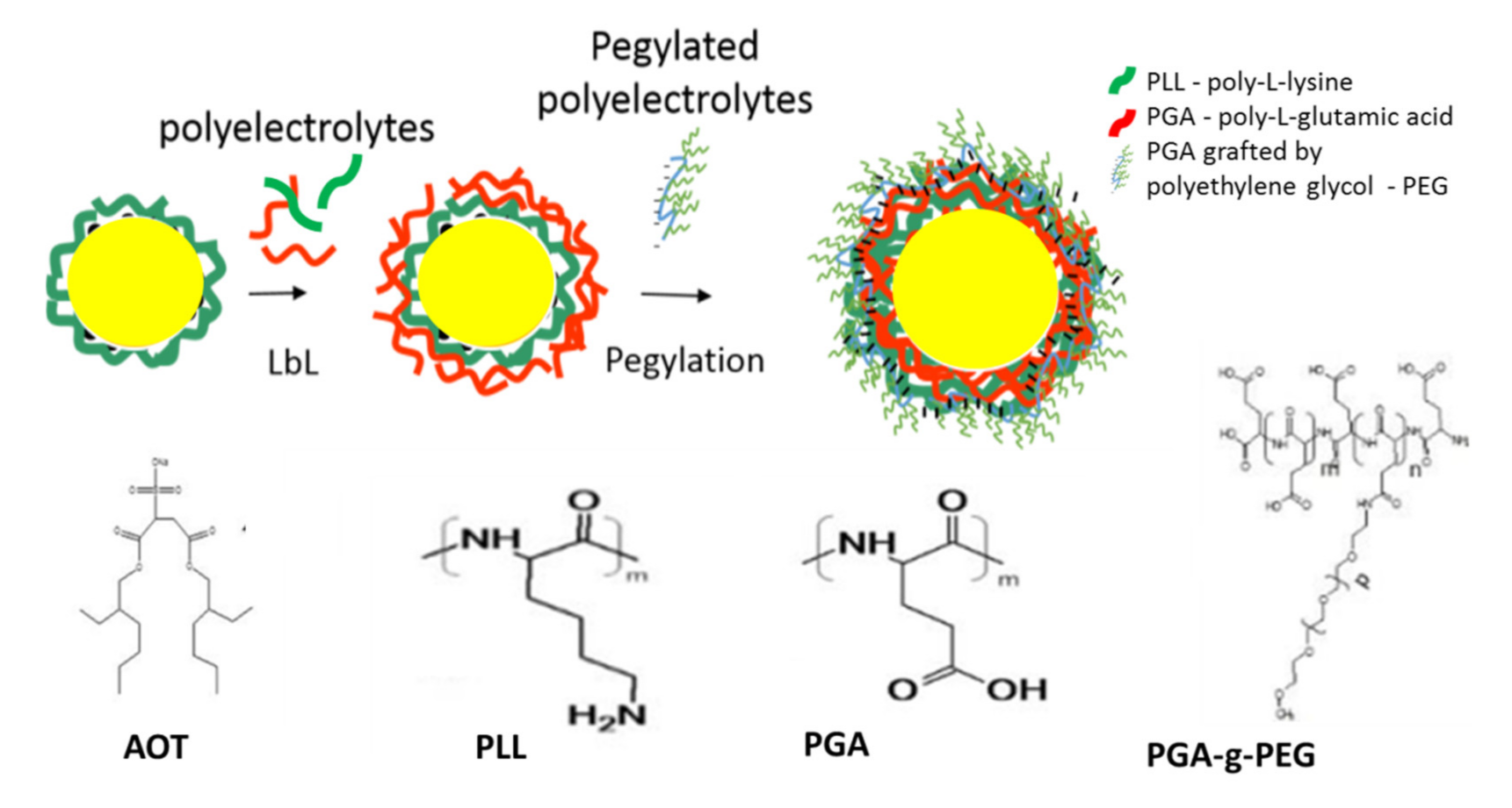 Polymers 13 01000 g001