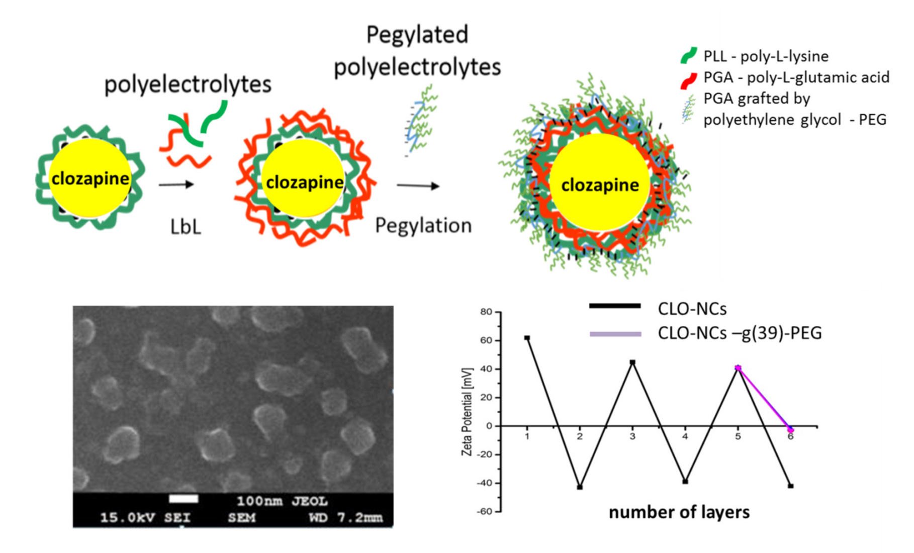 Polymers 13 01000 g003