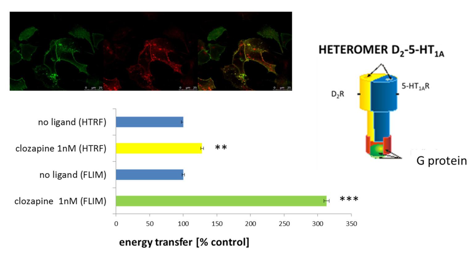 Polymers 13 01000 g006