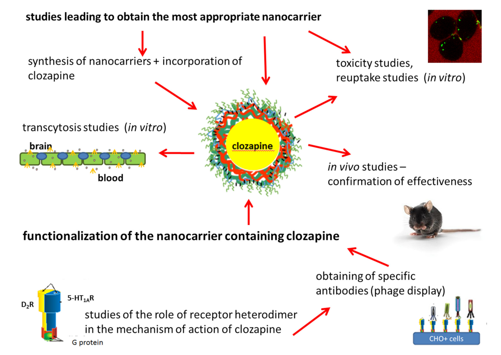 Polymers 13 01000 g008