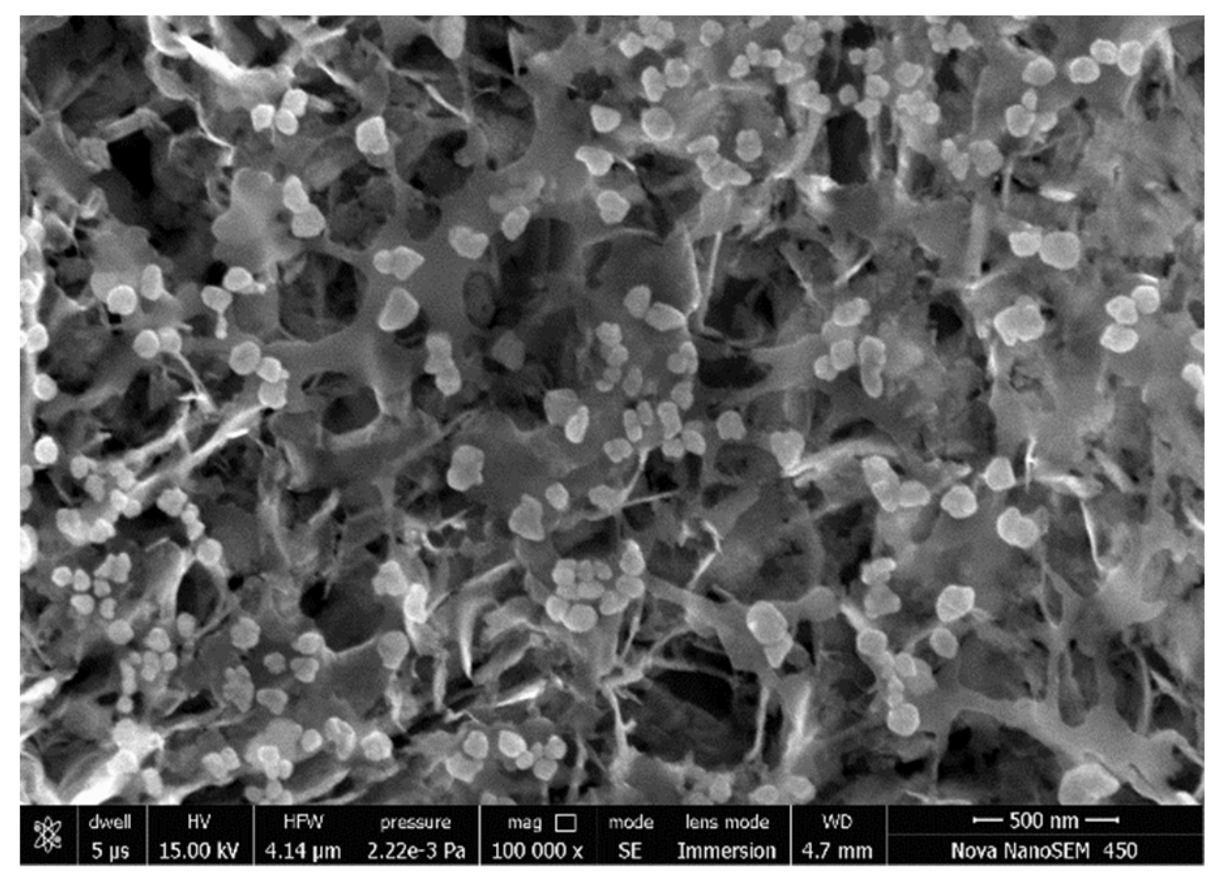 Polymers 13 01005 g001