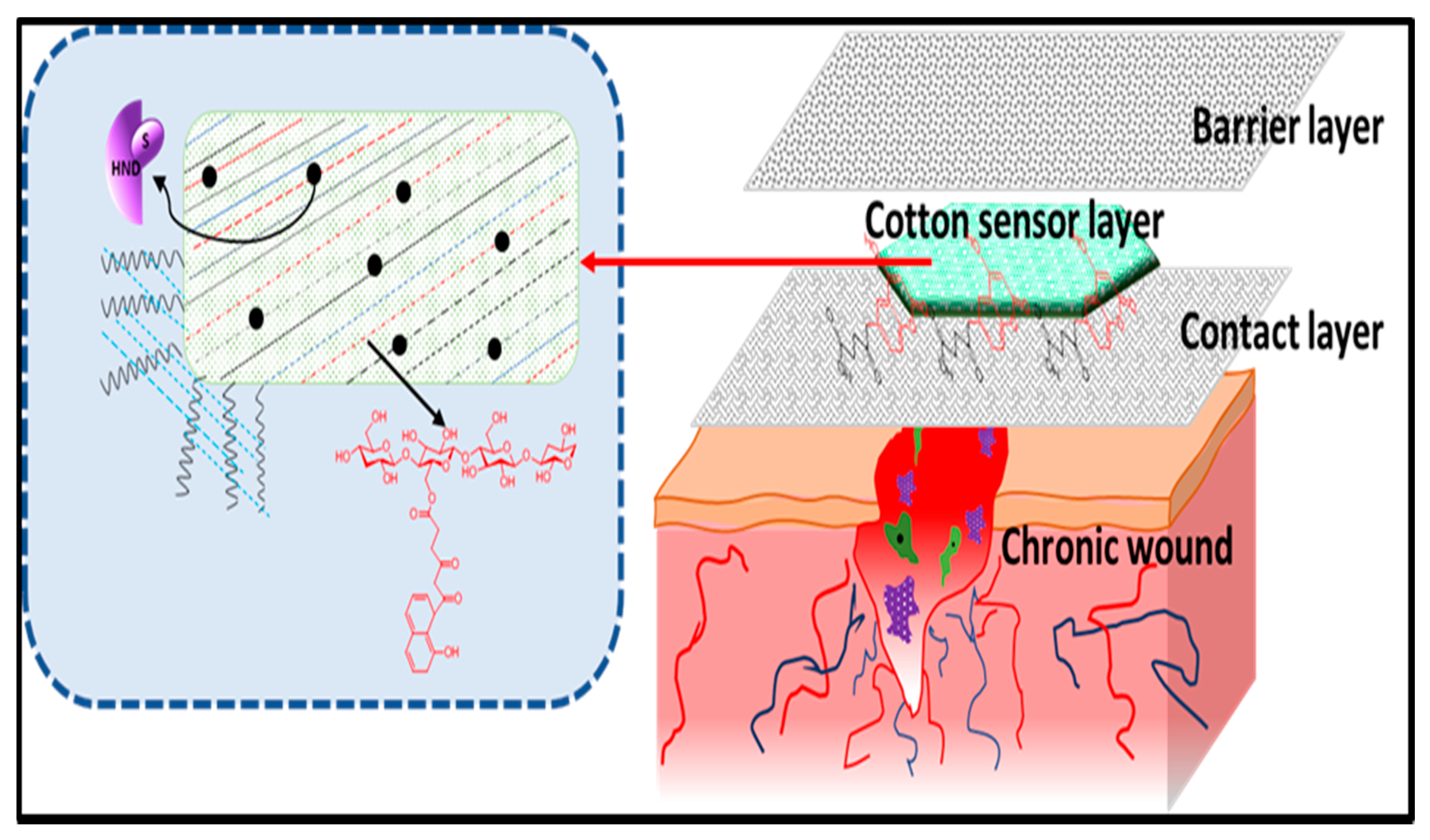 Polymers 13 01006 g007