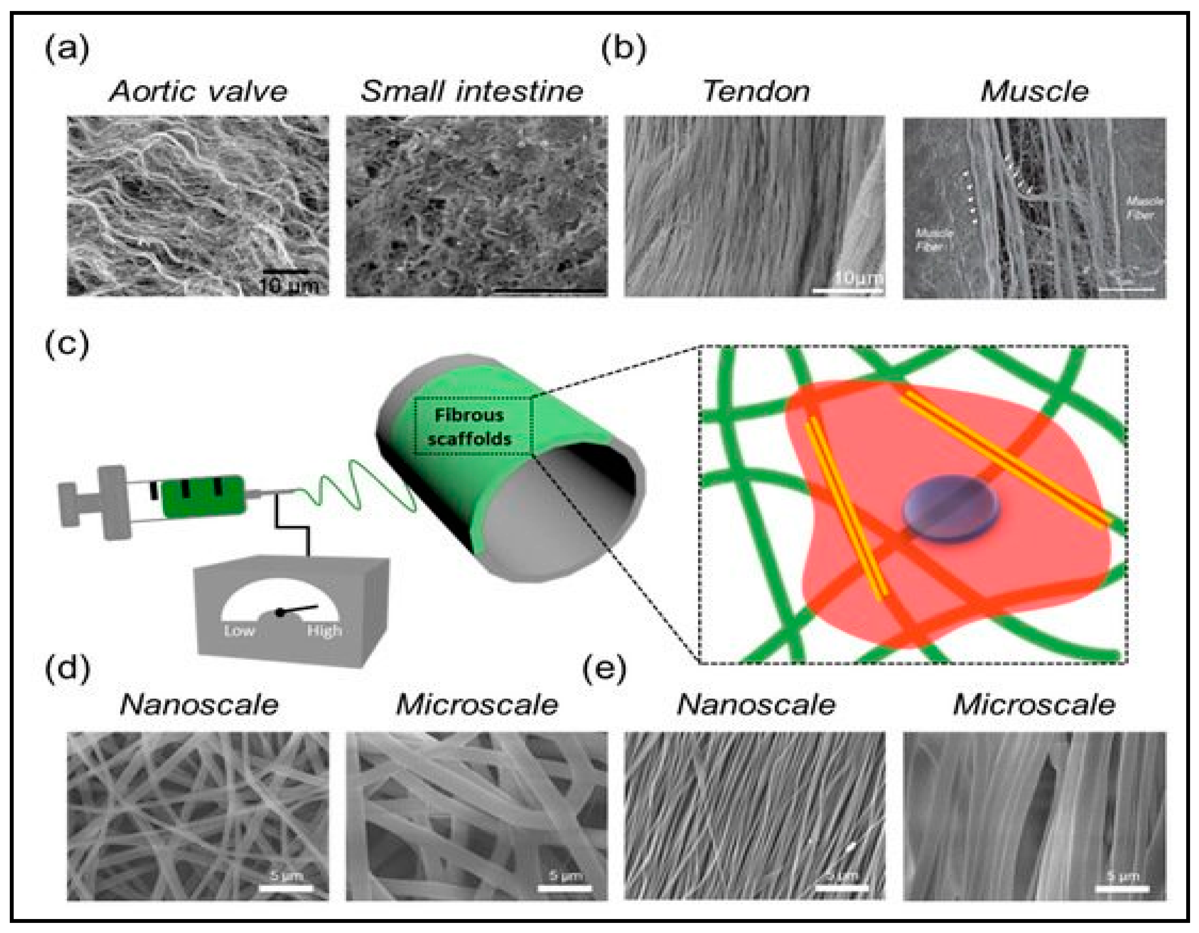 Polymers 13 01006 g008
