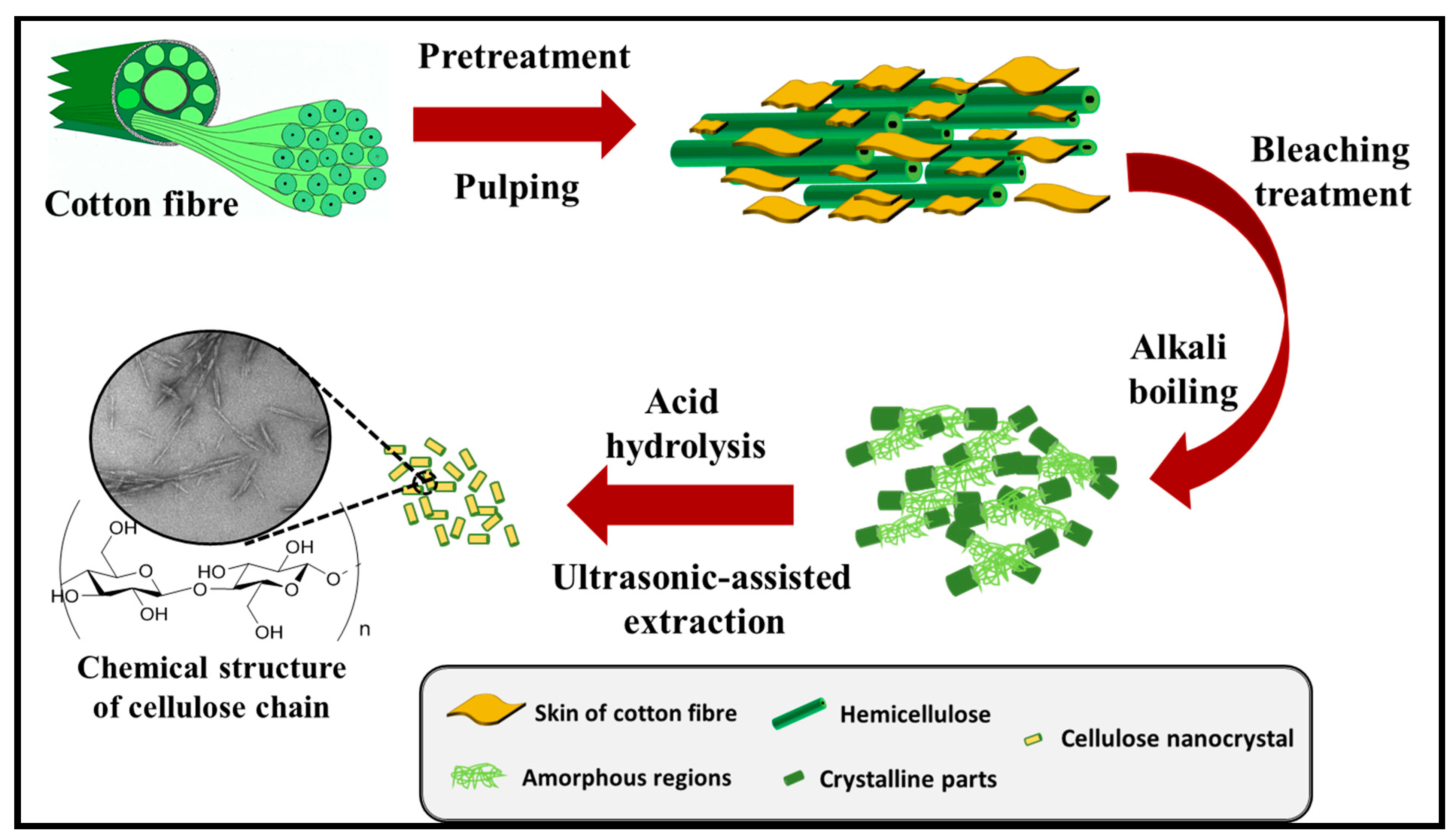 Polymers 13 01006 g010