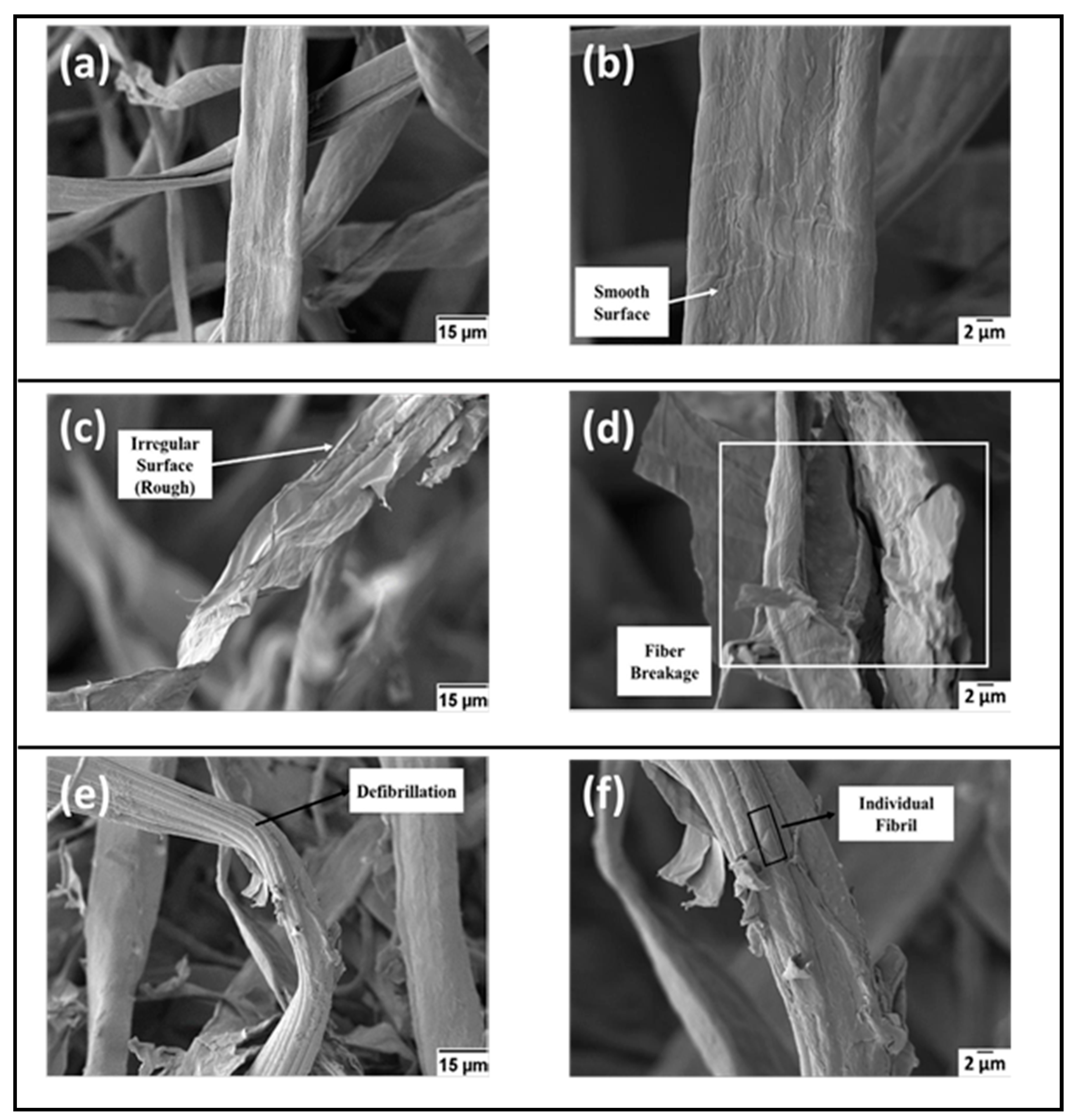 Polymers 13 01006 g012