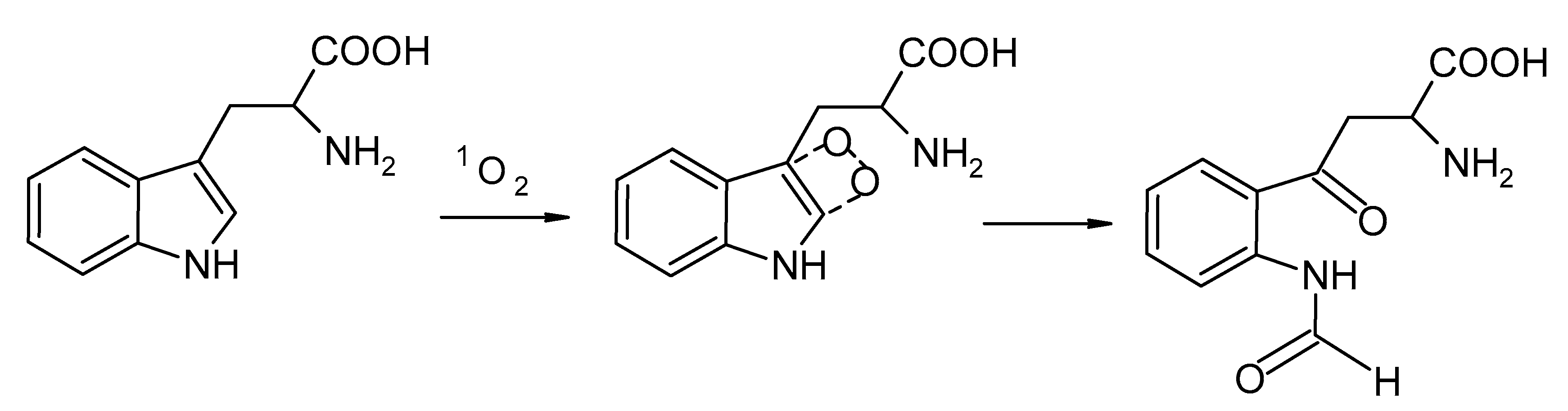 Polymers 13 01007 g003