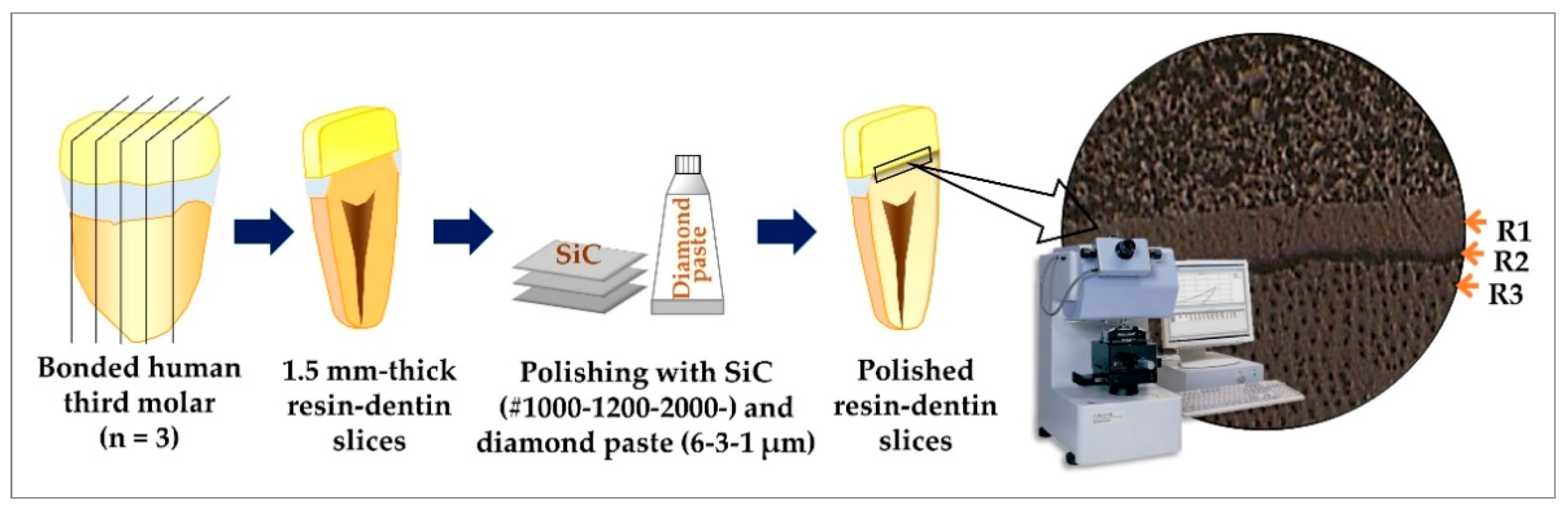 Polymers 13 01009 g002