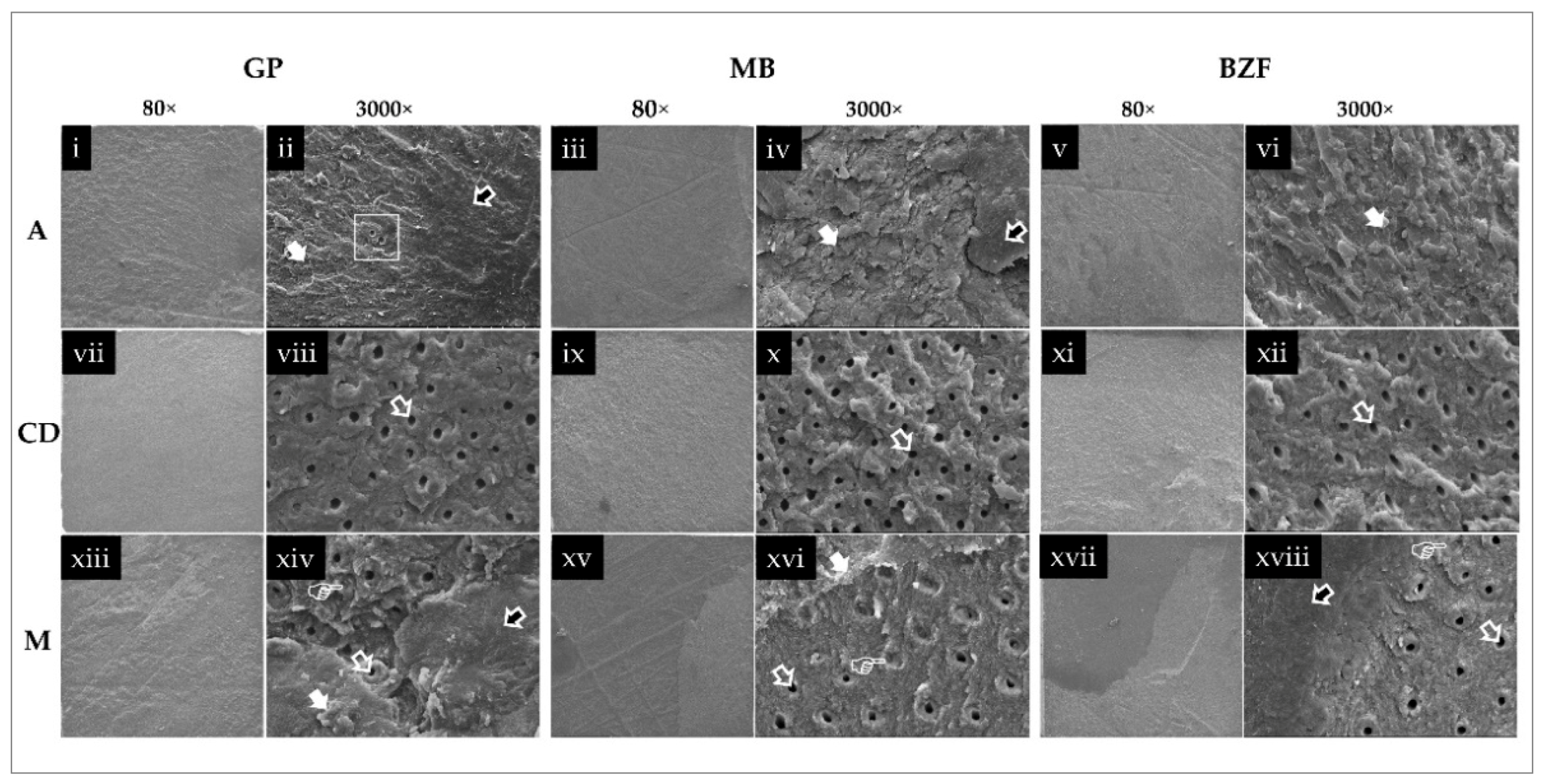 Polymers 13 01009 g003