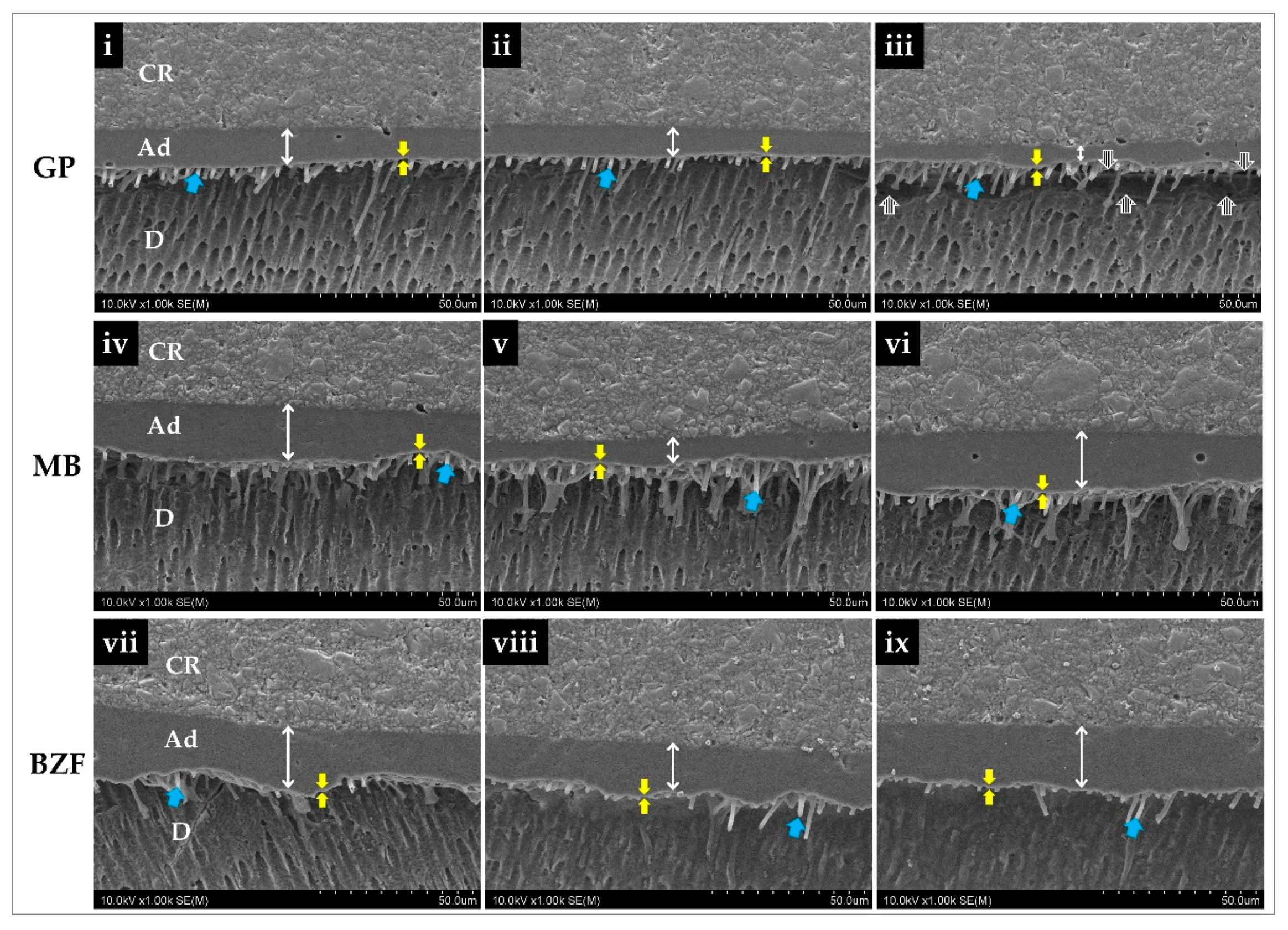 Polymers 13 01009 g004