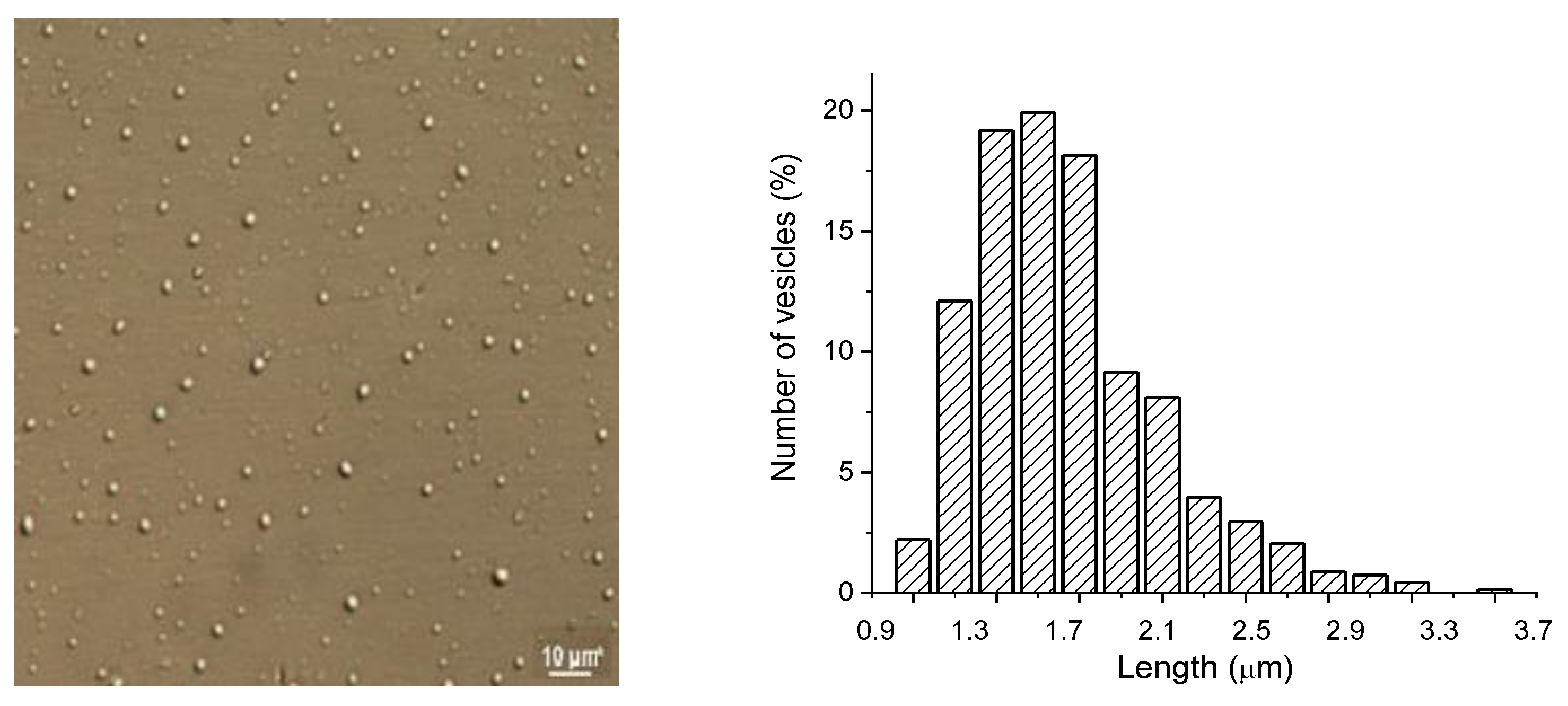 Polymers 13 01010 g001 Polymers 13 01010 g001