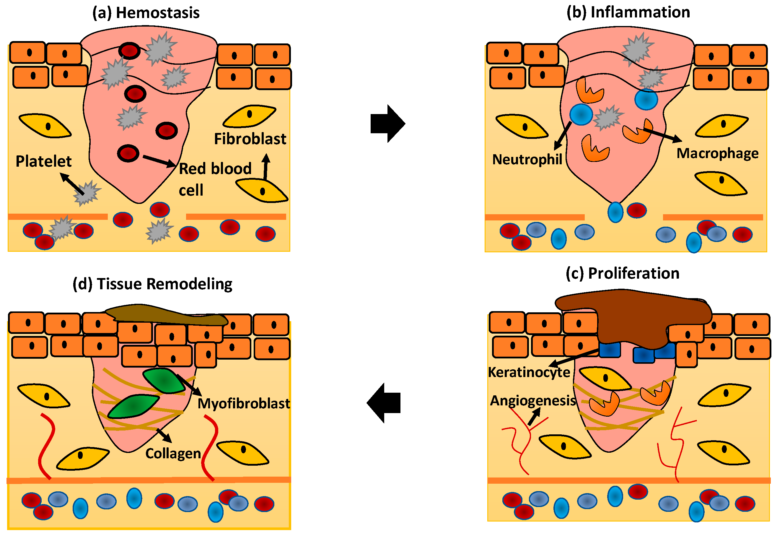 Polymers 13 01011 g002