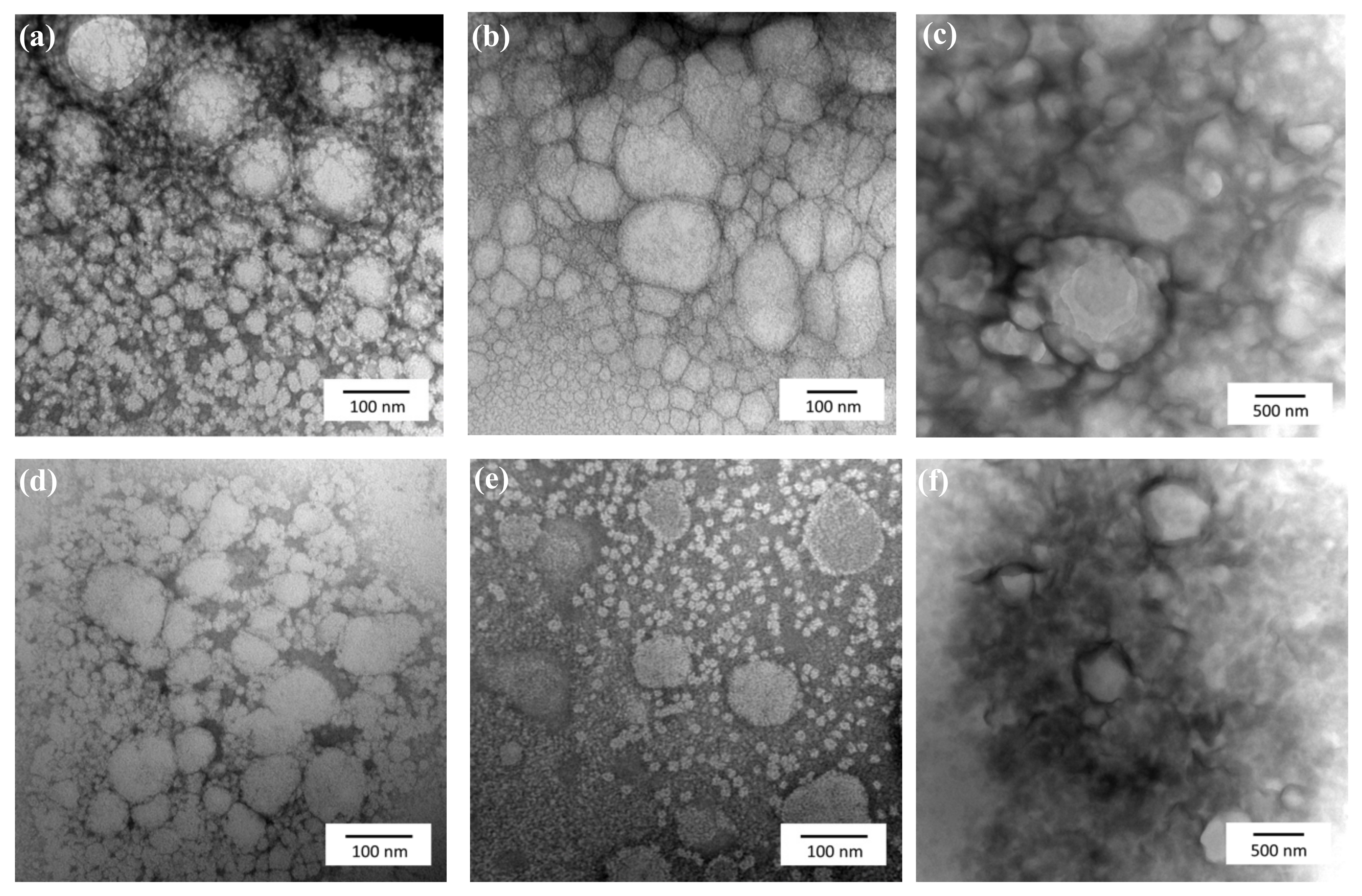 Polymers 13 01016 g001