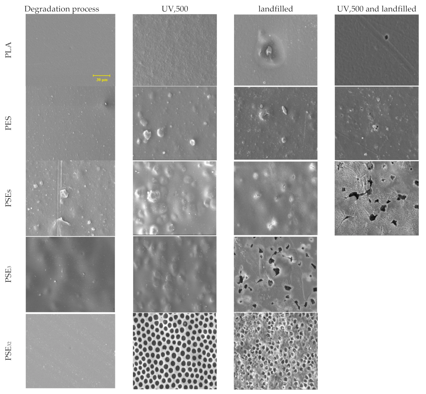 Polymers 13 01019 g002 Polymers 13 01019 g002