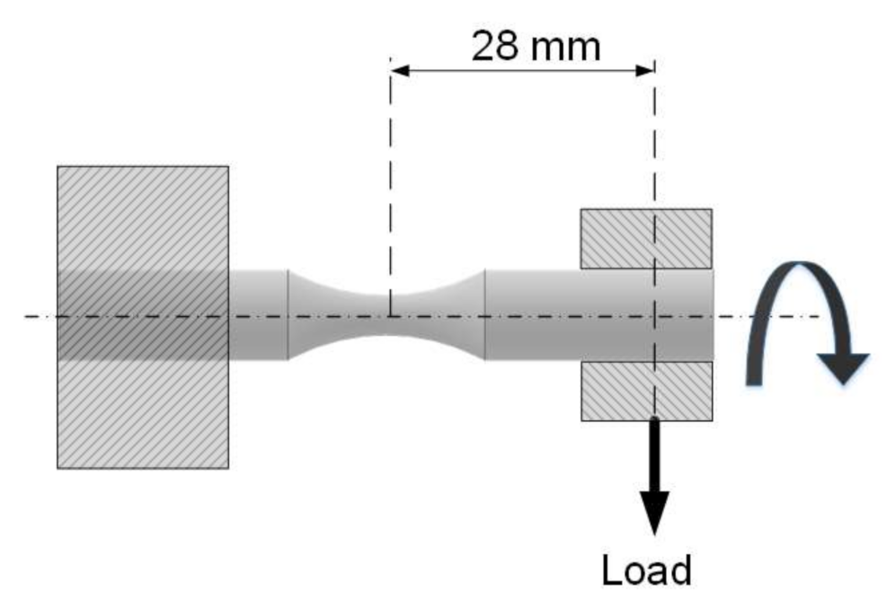 Polymers 13 01020 g003