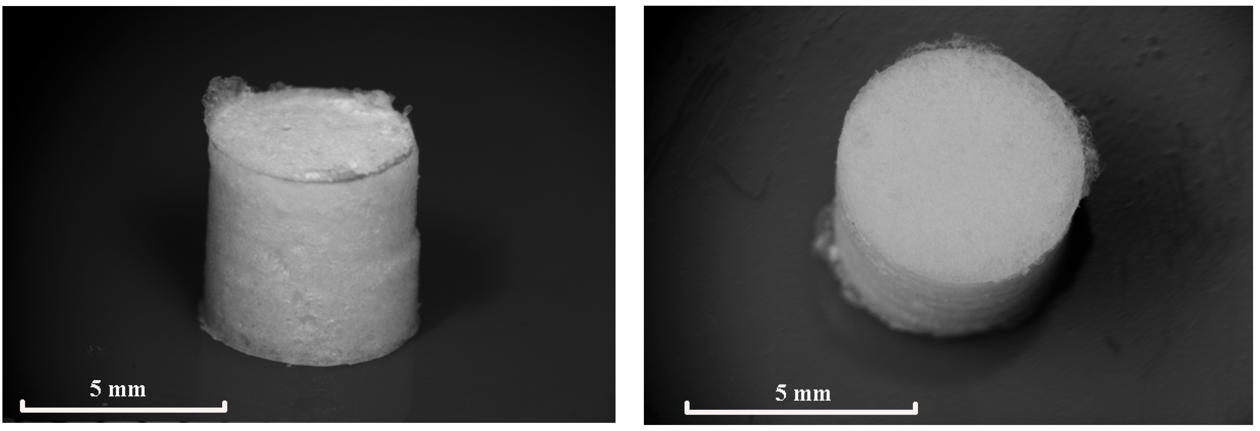 Polymers 13 01021 g001