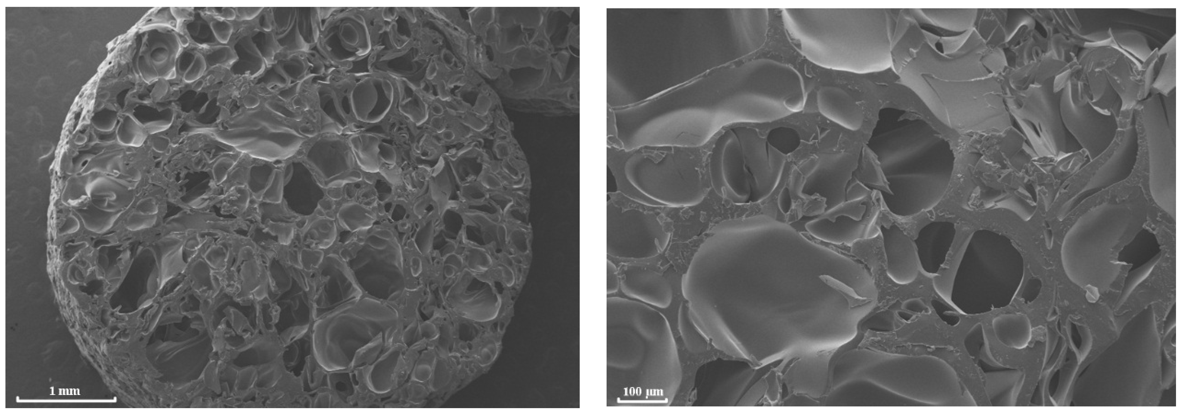 Polymers 13 01021 g002