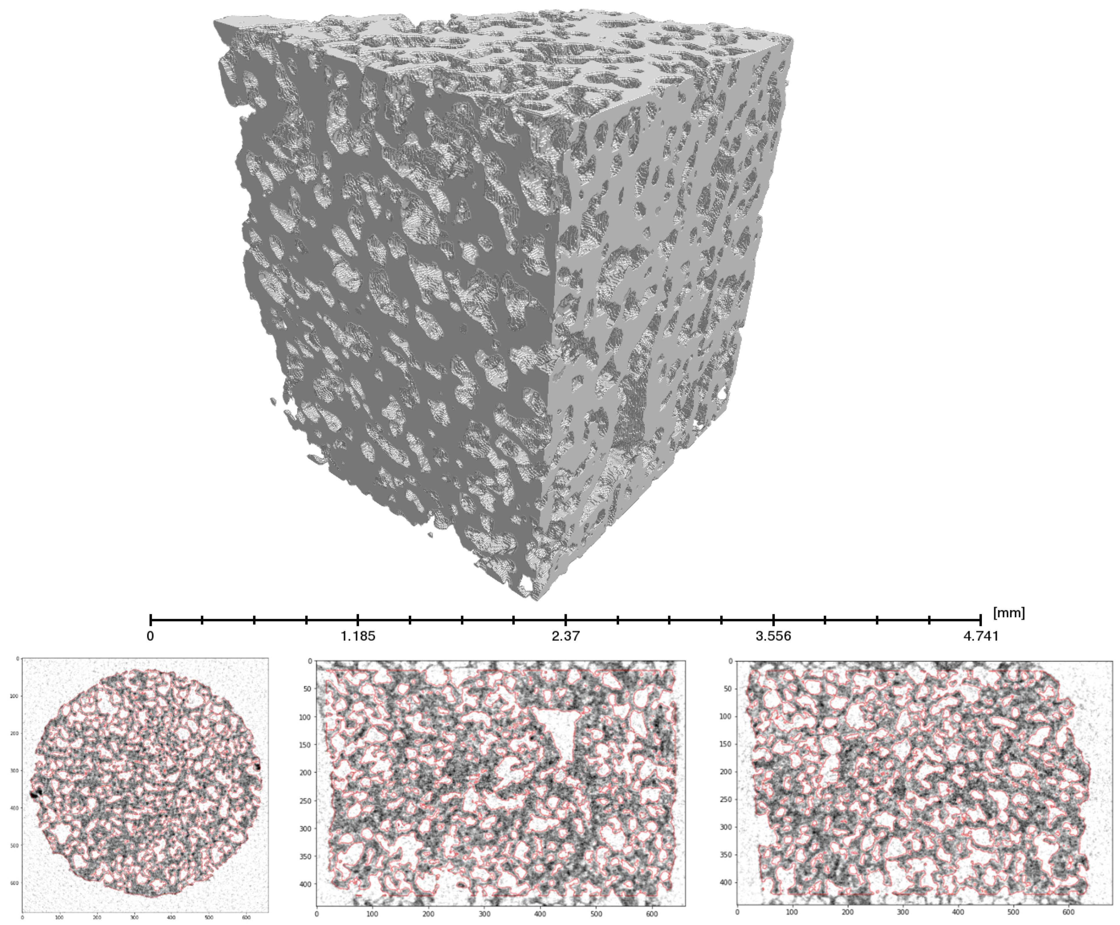 Polymers 13 01021 g005