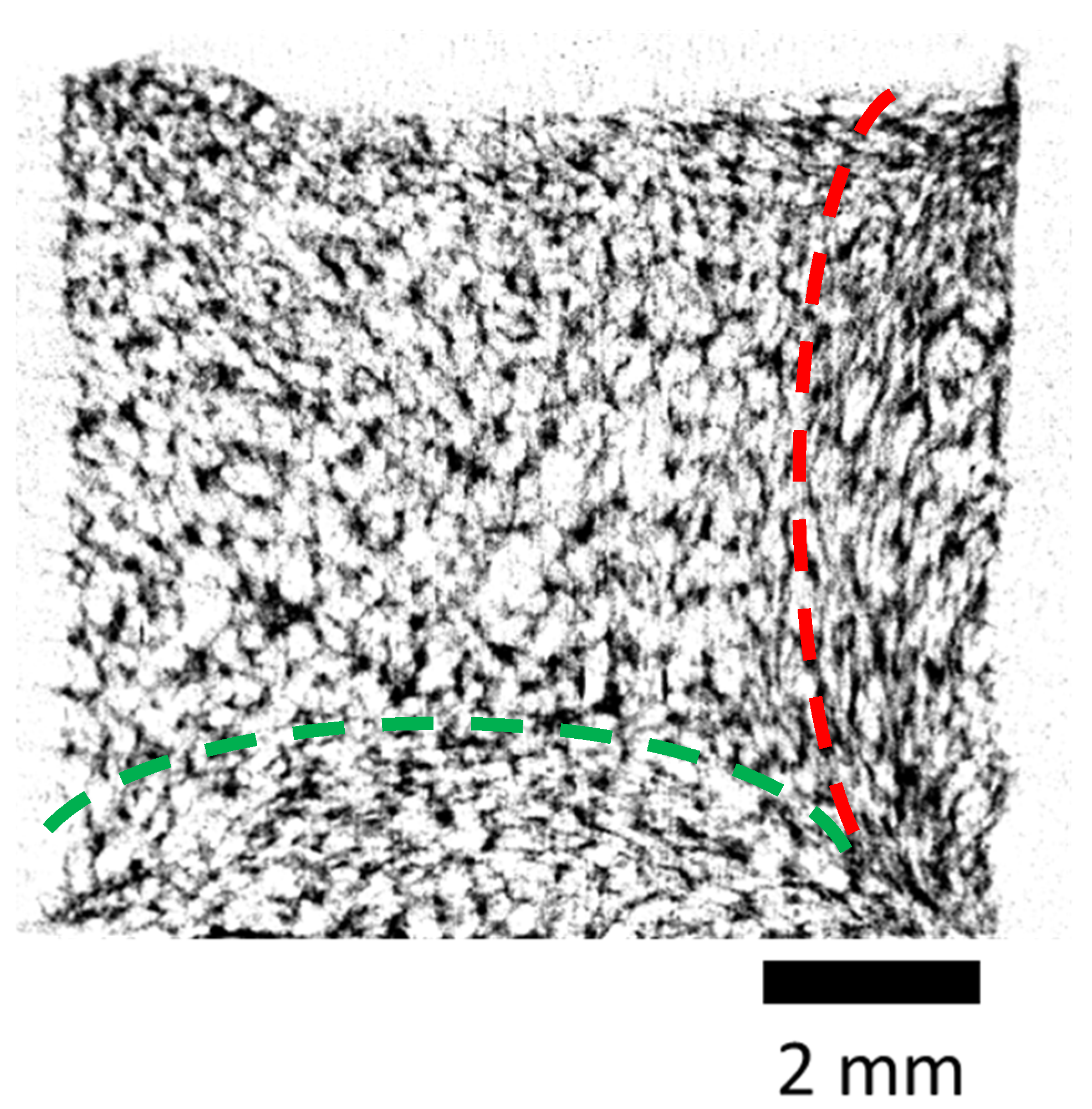 Polymers 13 01021 g007