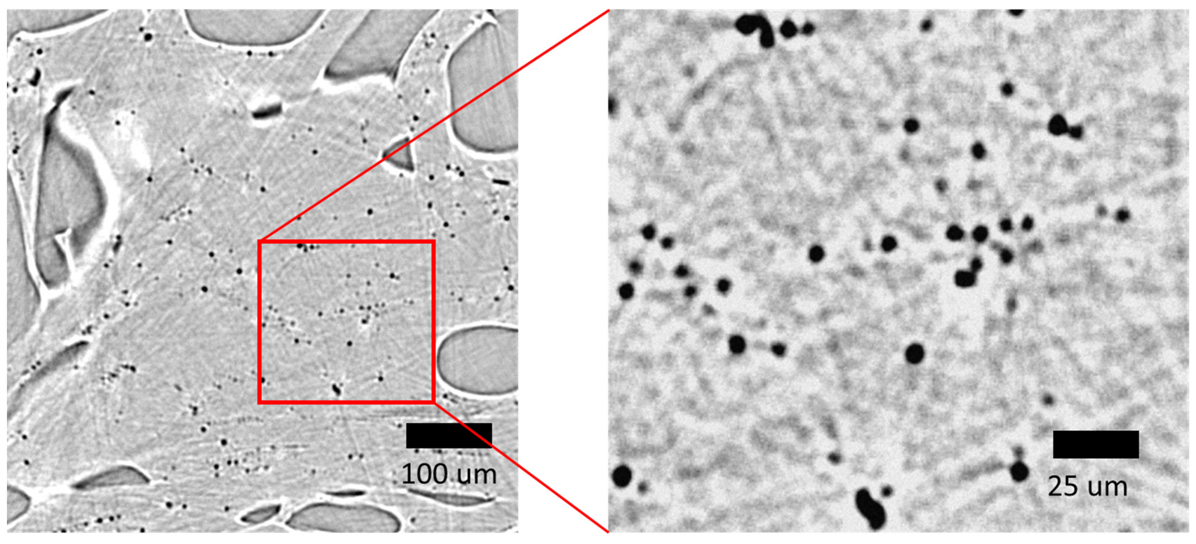 Polymers 13 01021 g009