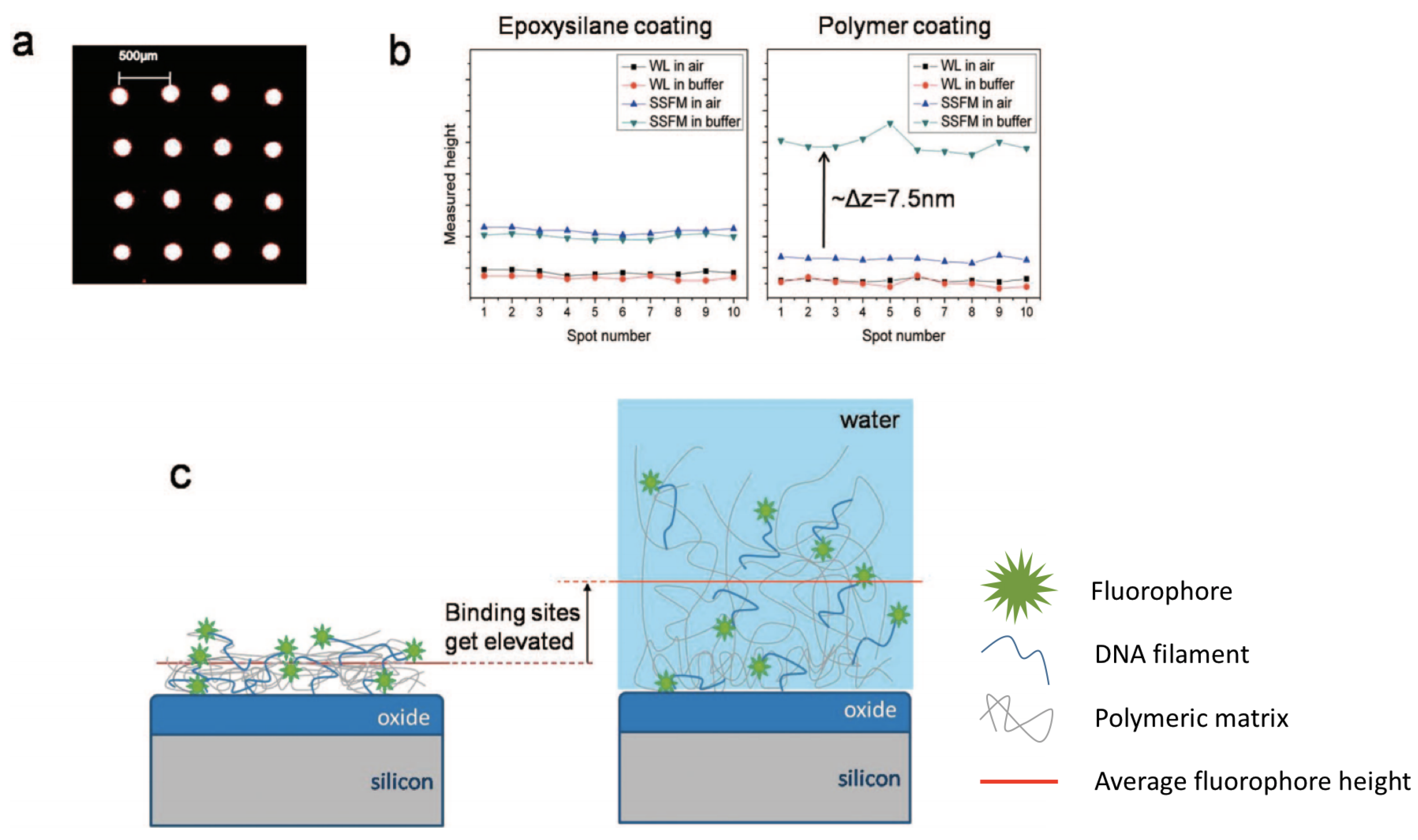 Polymers 13 01026 g003 Polymers 13 01026 g003