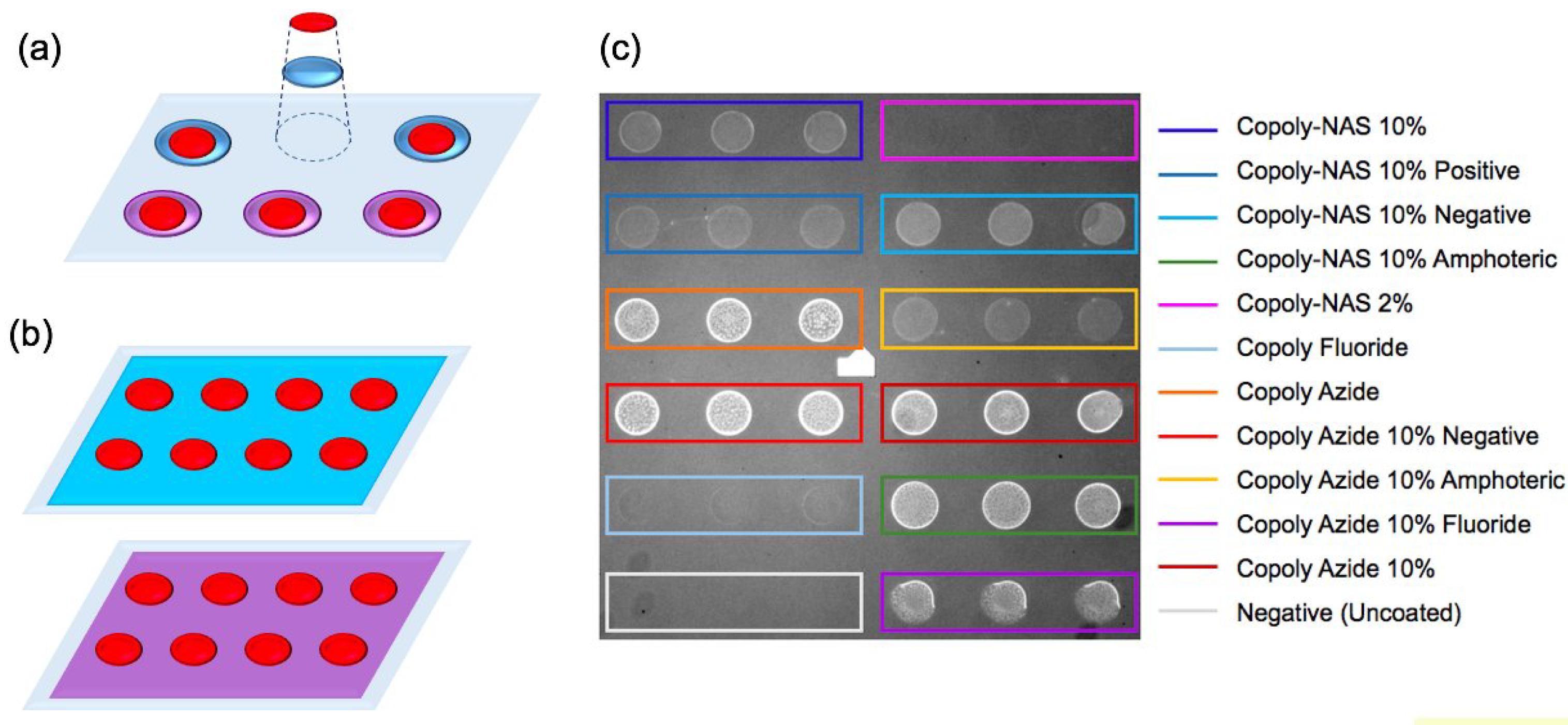 Polymers 13 01026 g007 Polymers 13 01026 g007