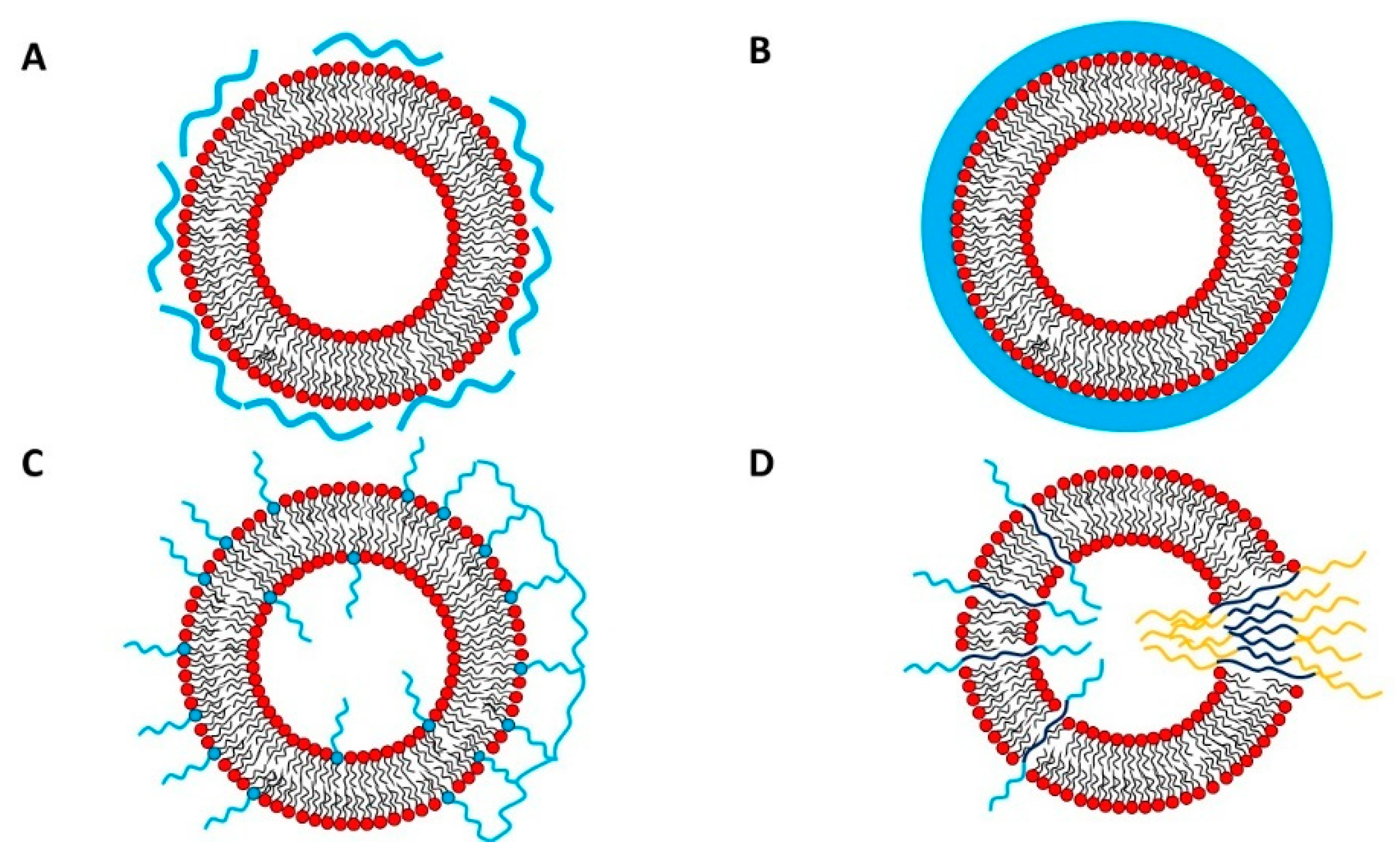 Polymers 13 01027 g001