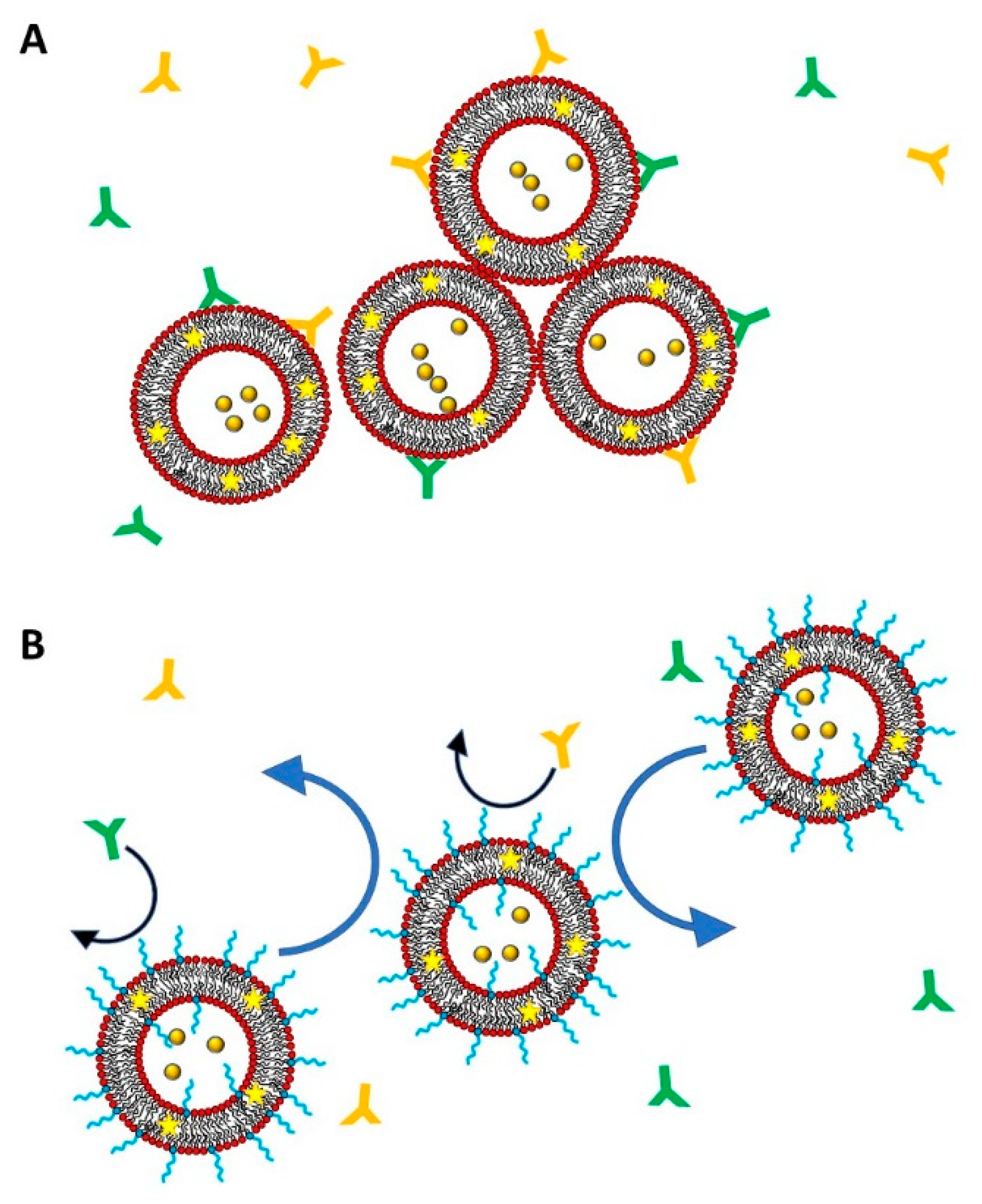 Polymers 13 01027 g002