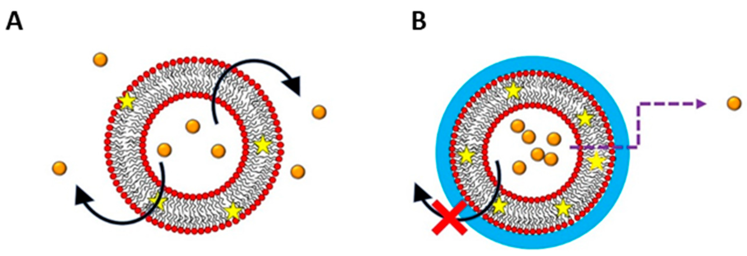 Polymers 13 01027 g004
