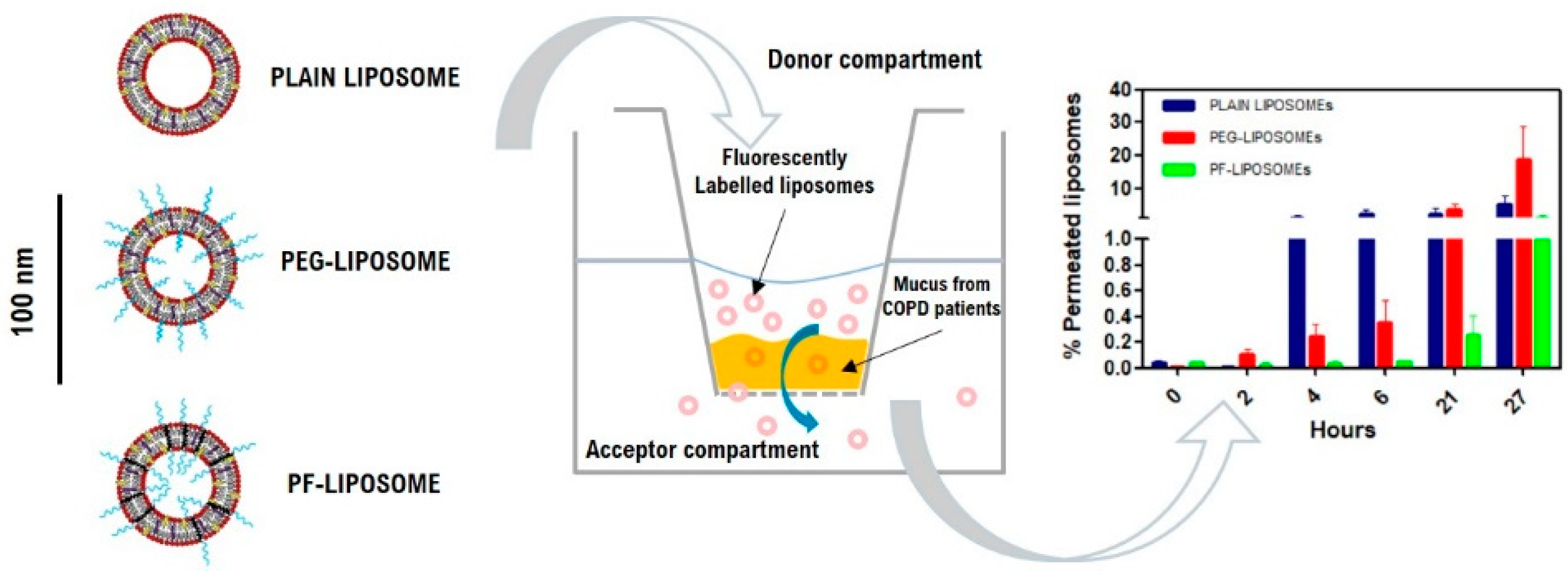 Polymers 13 01027 g007