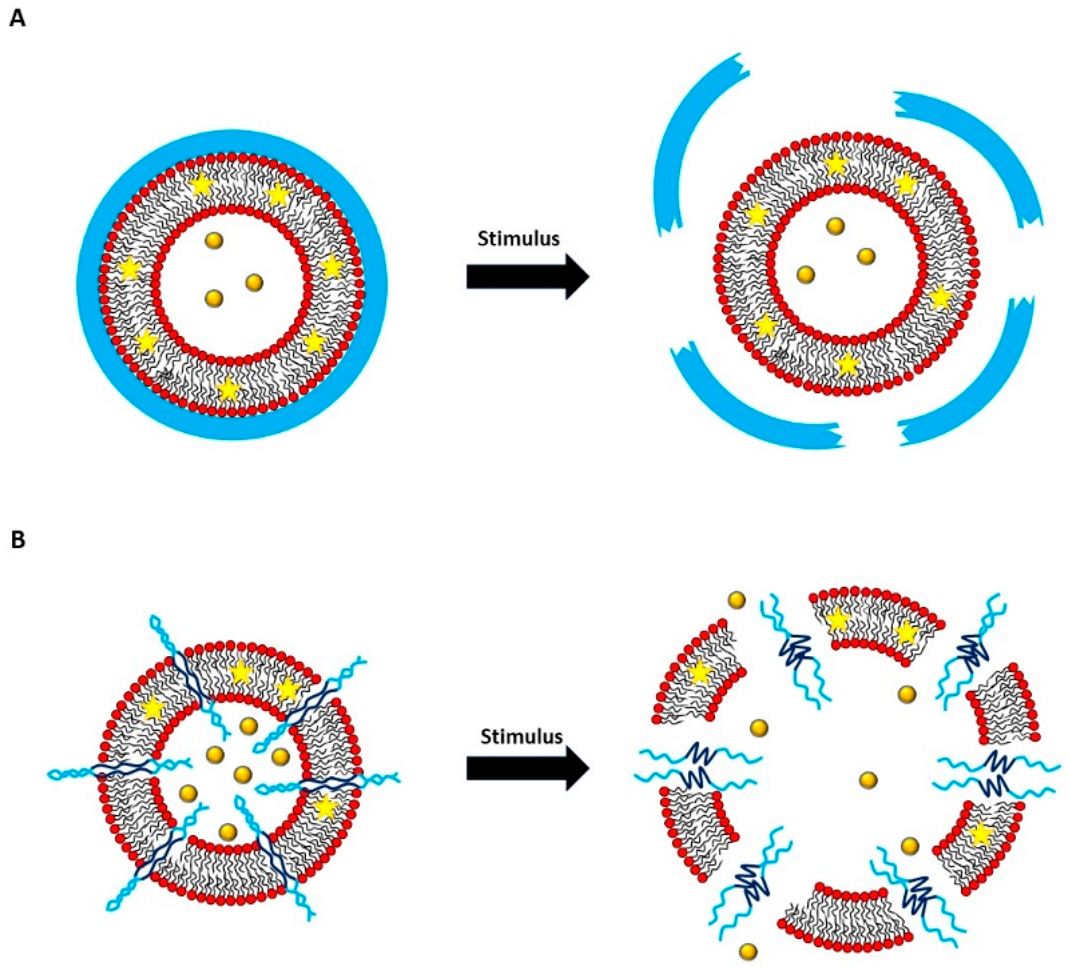 Polymers 13 01027 g008