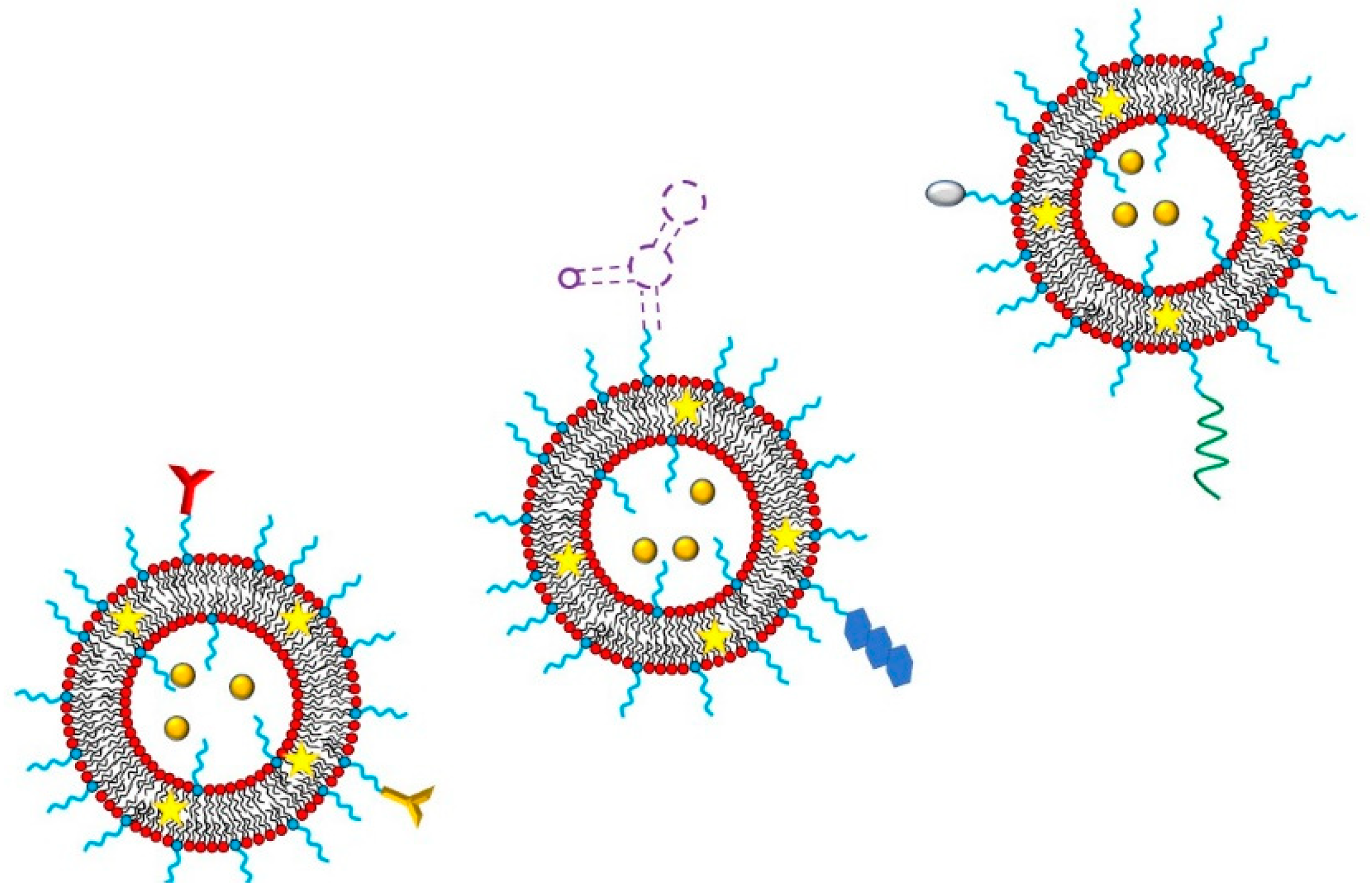 Polymers 13 01027 g011