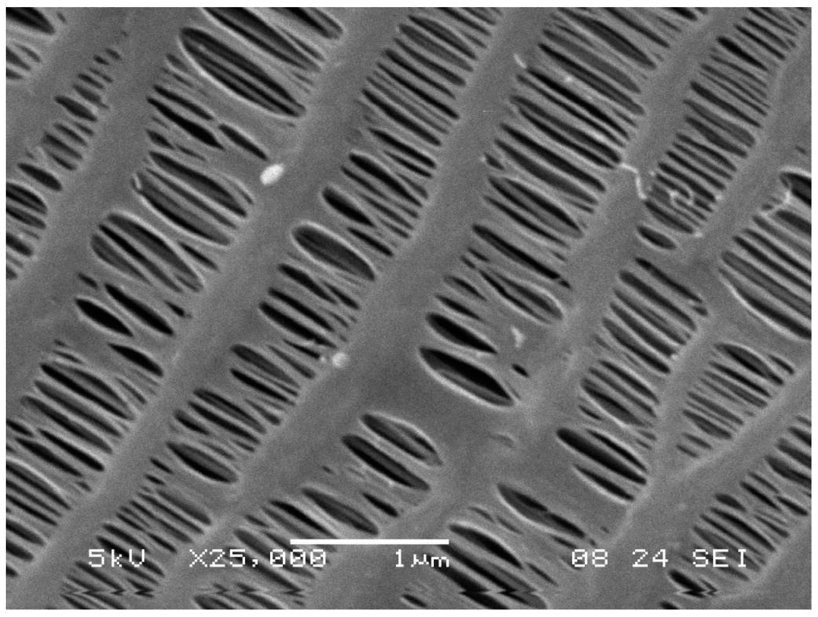Polymers 13 01031 g001 Polymers 13 01031 g001