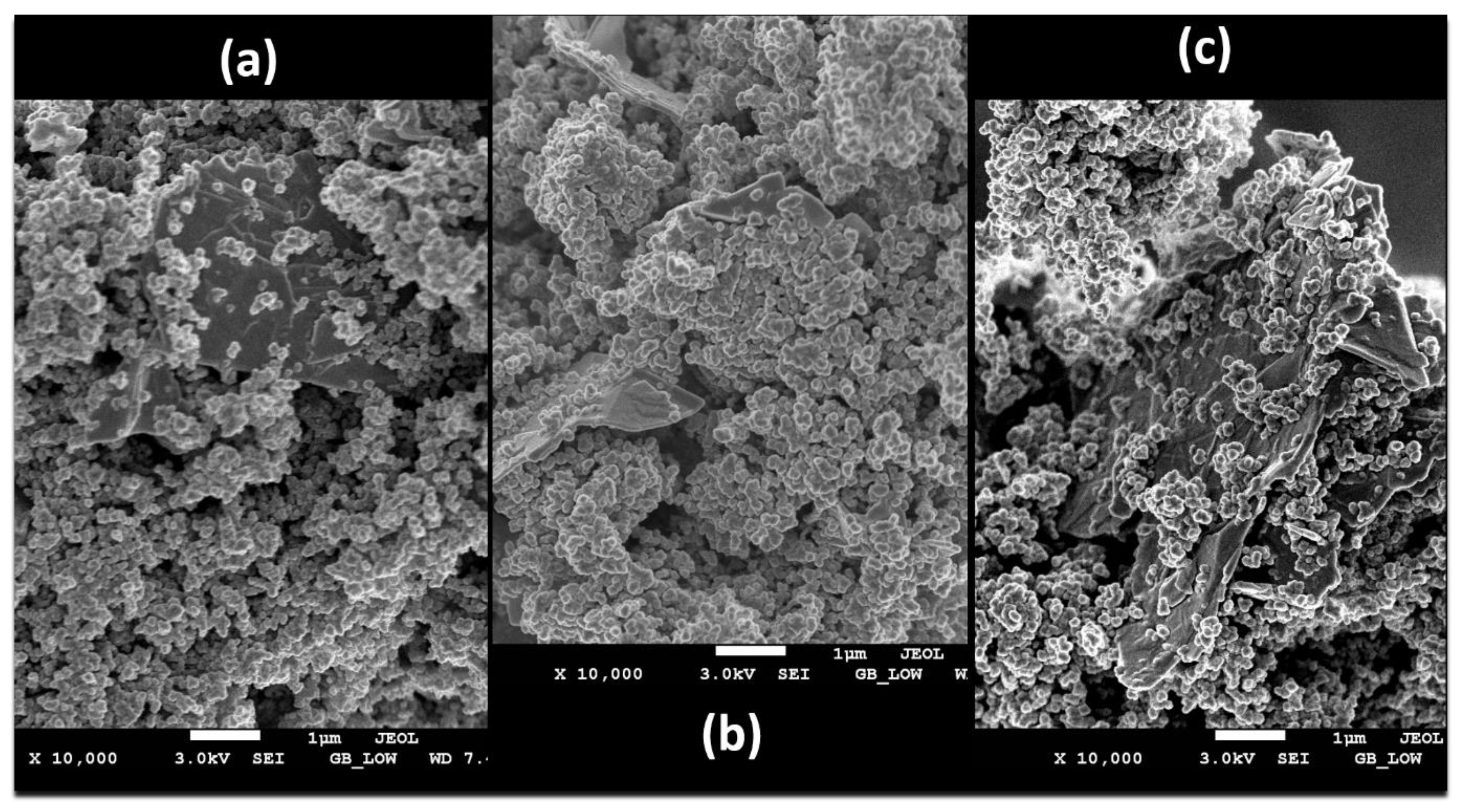 Polymers 13 01034 g003 Polymers 13 01034 g003