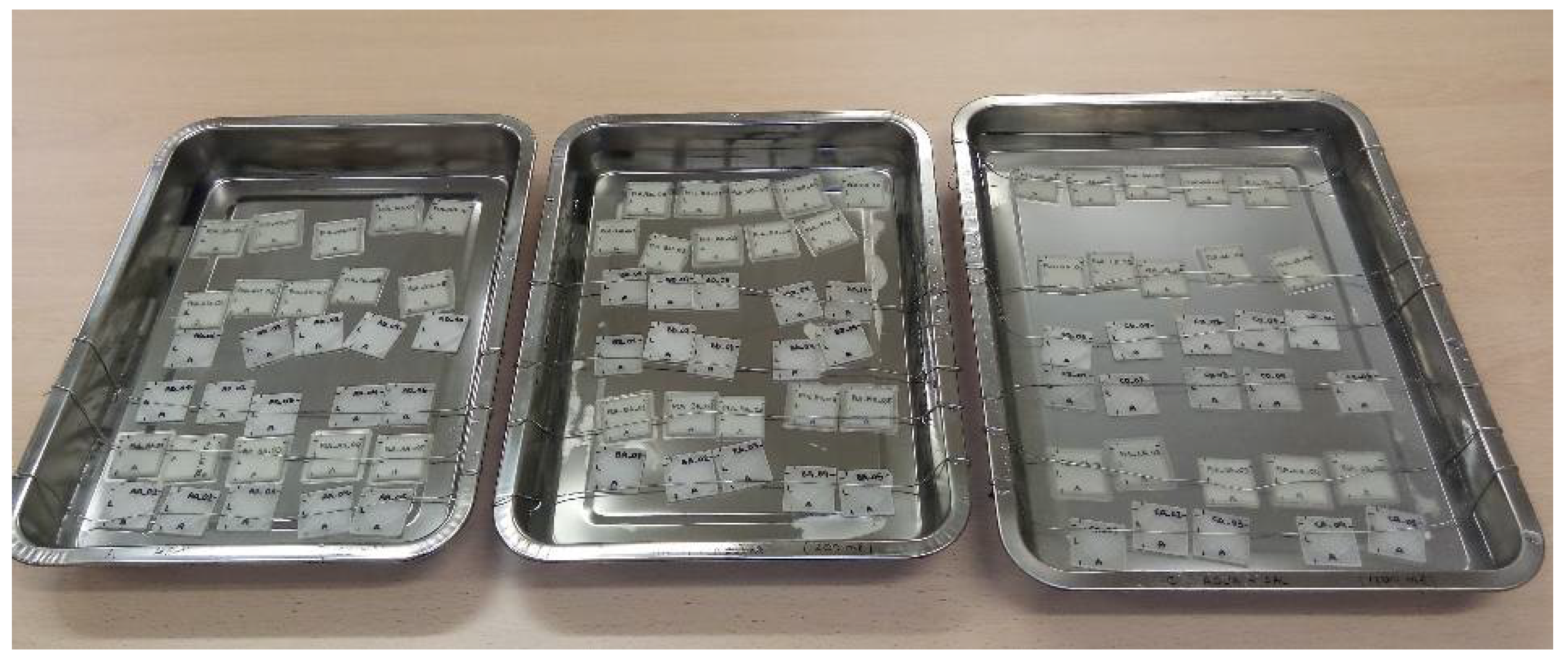 Polymers 13 01036 g001