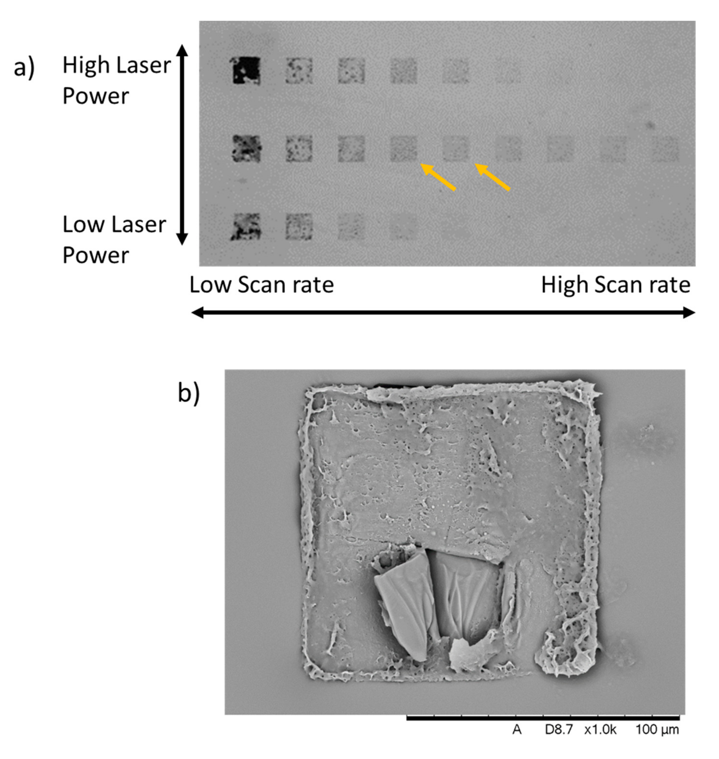 Polymers 13 01038 g005