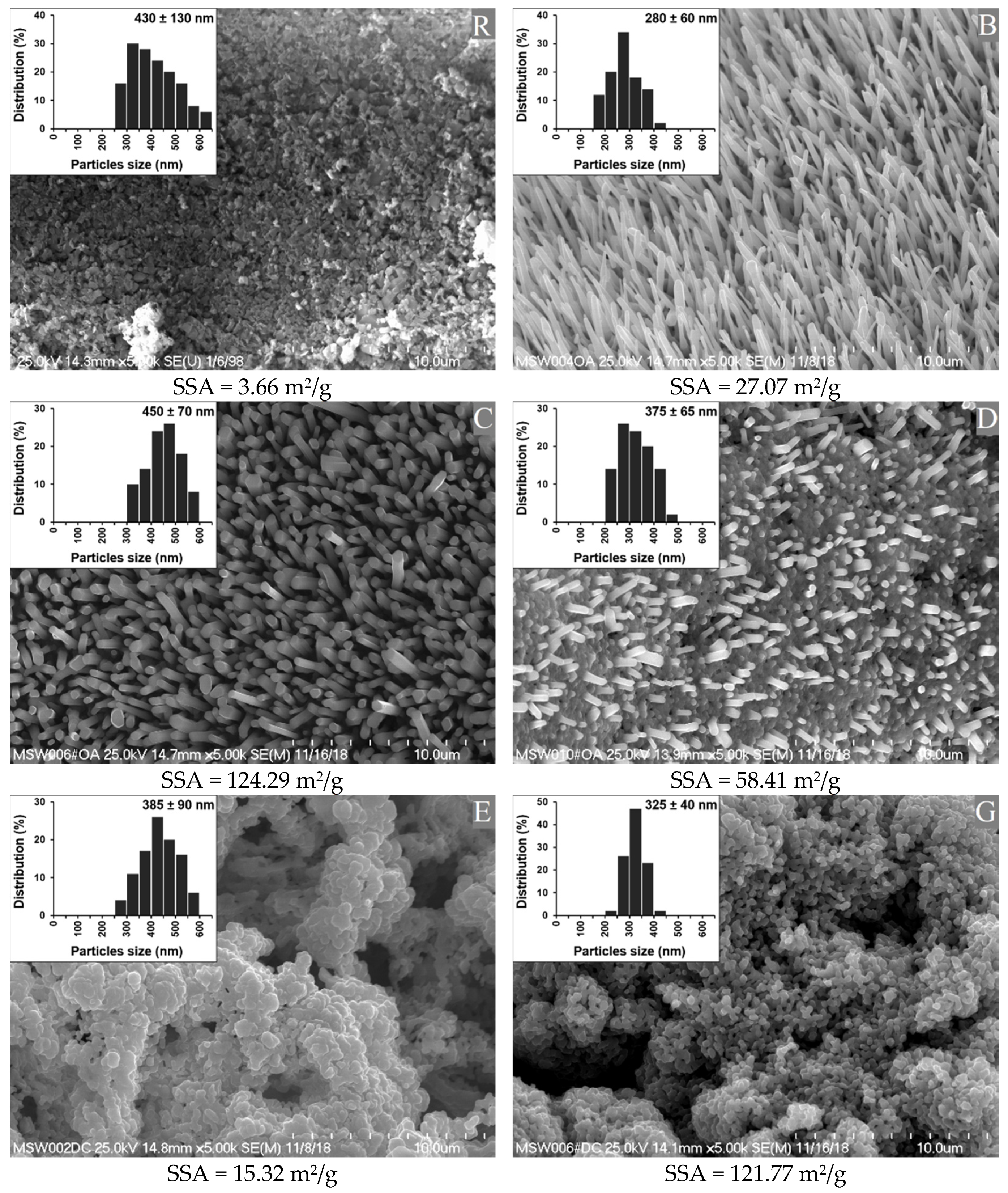 Polymers 13 01040 g001