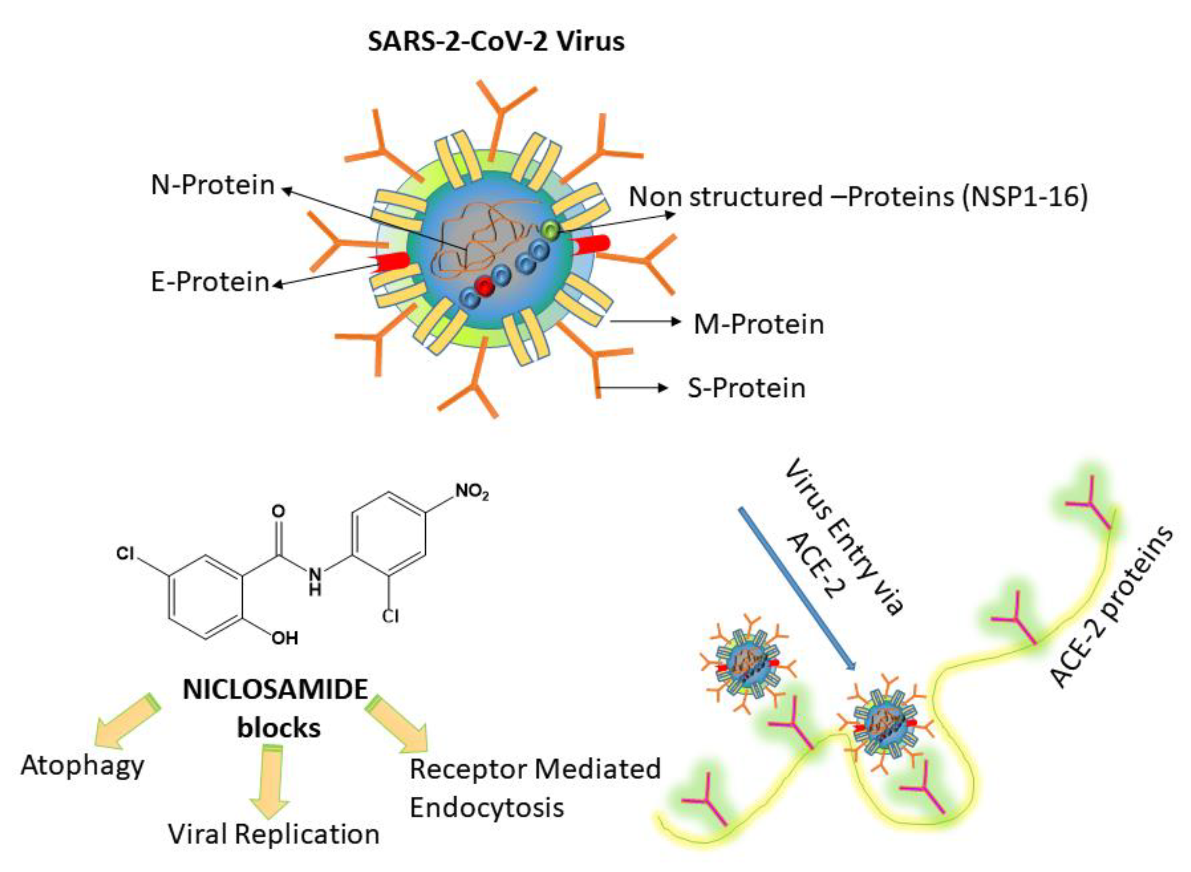 Polymers 13 01044 sch001
